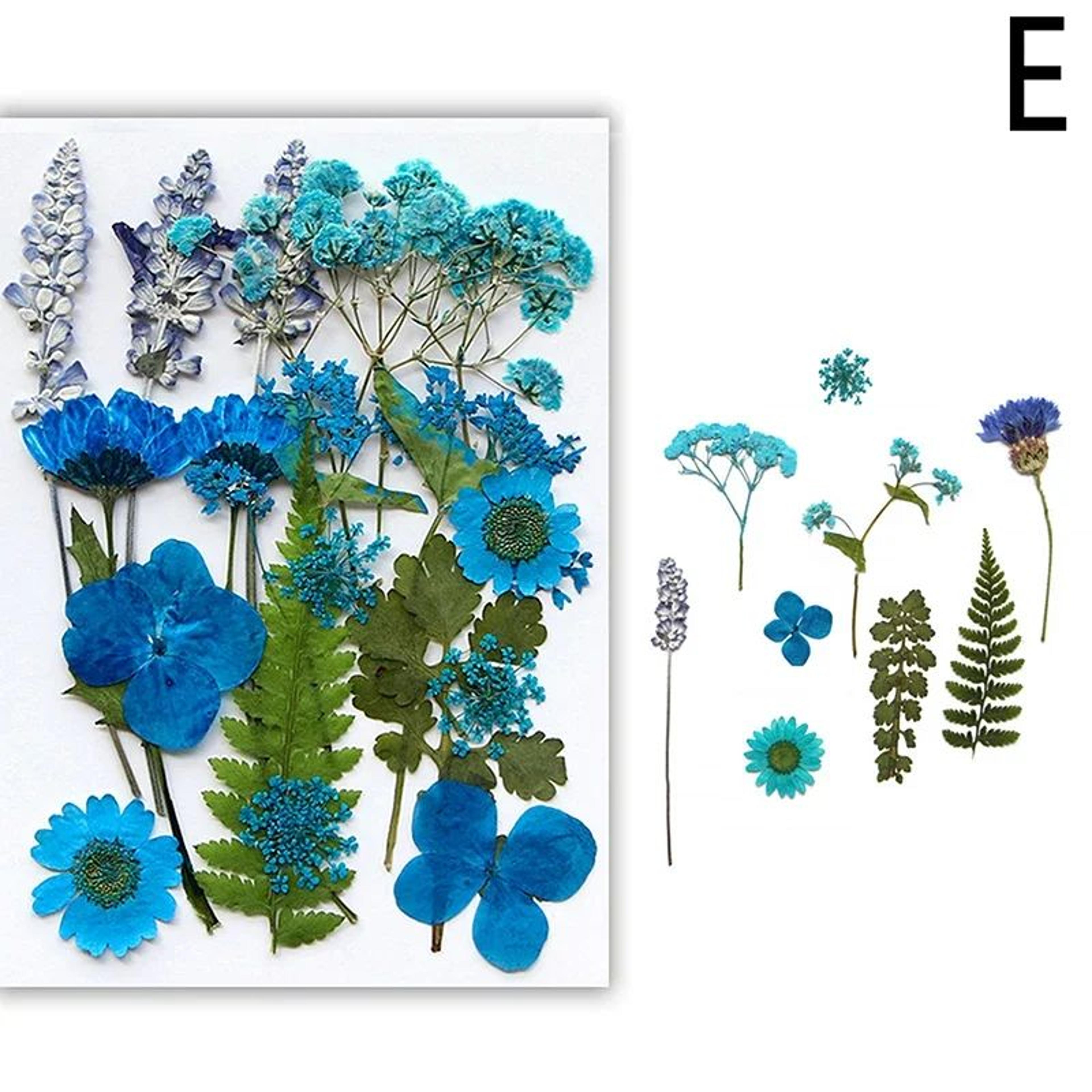 Premium Natural Dried Flower Resin Fillers  Real Pressed Flowers For Nail Art Jewelry  DIY Crafts 10