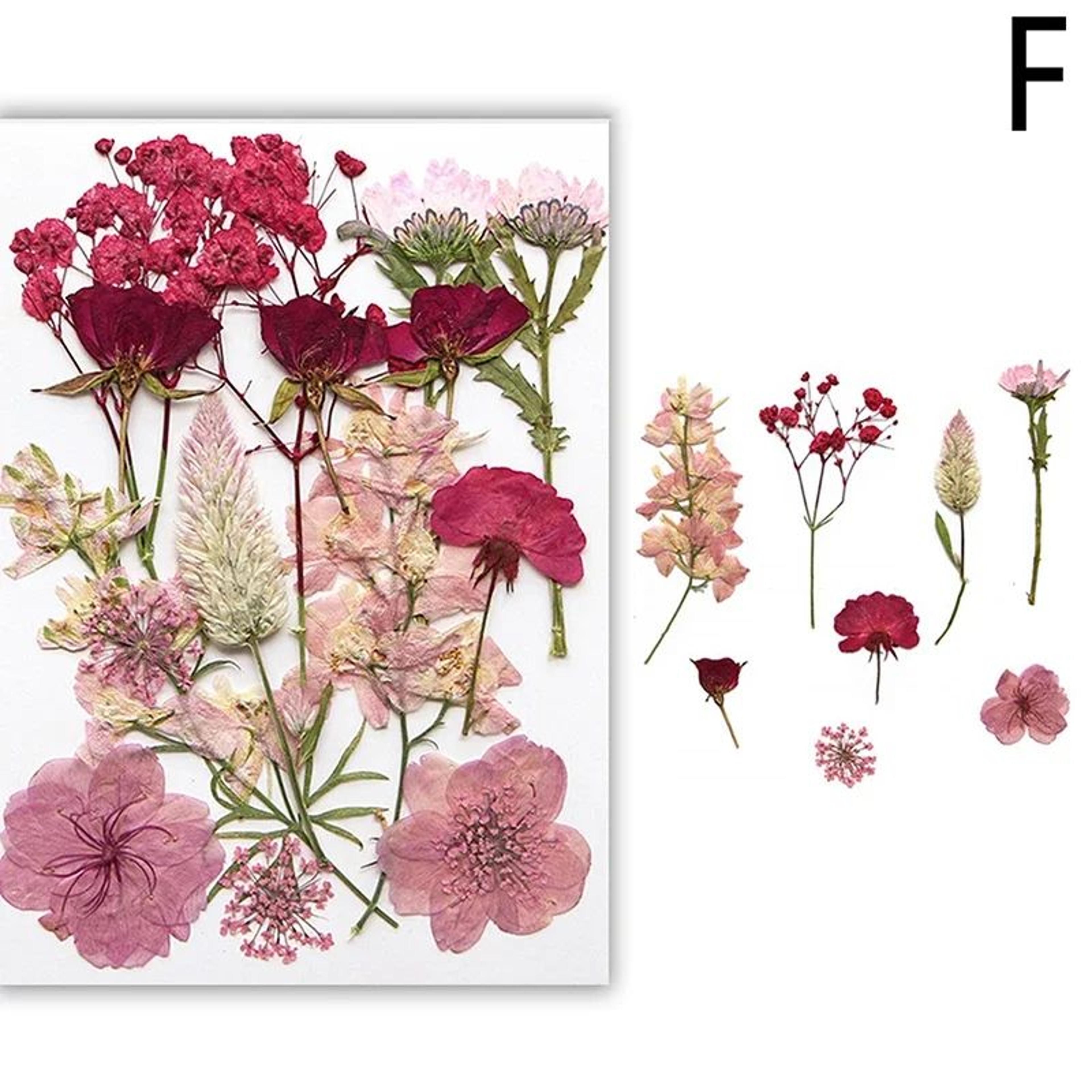 Premium Natural Dried Flower Resin Fillers  Real Pressed Flowers For Nail Art Jewelry  DIY Crafts 11