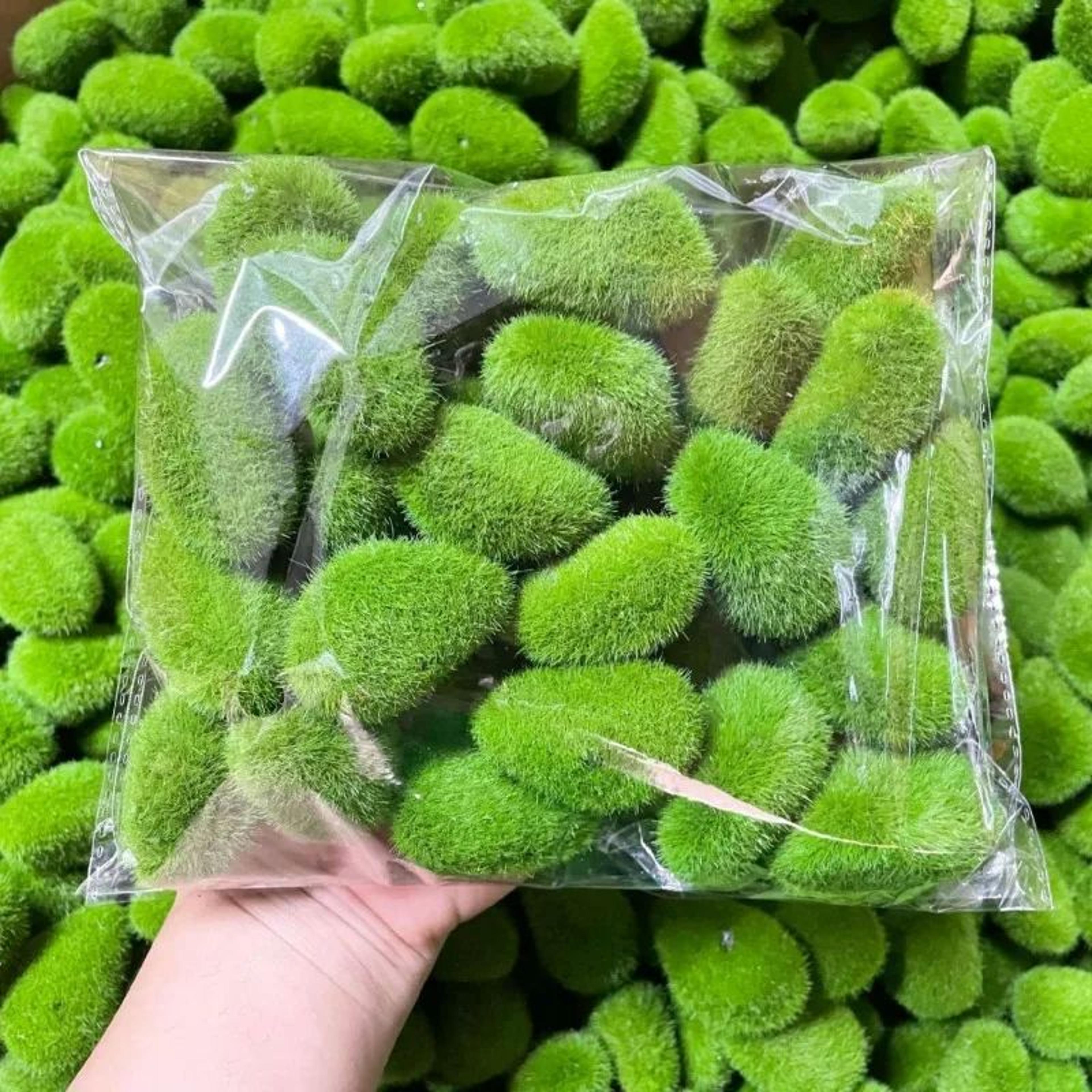 Artificial Moss Stone Balls  Realistic Green Foam Flocking Rocks For Bonsai  Garden Decor 3