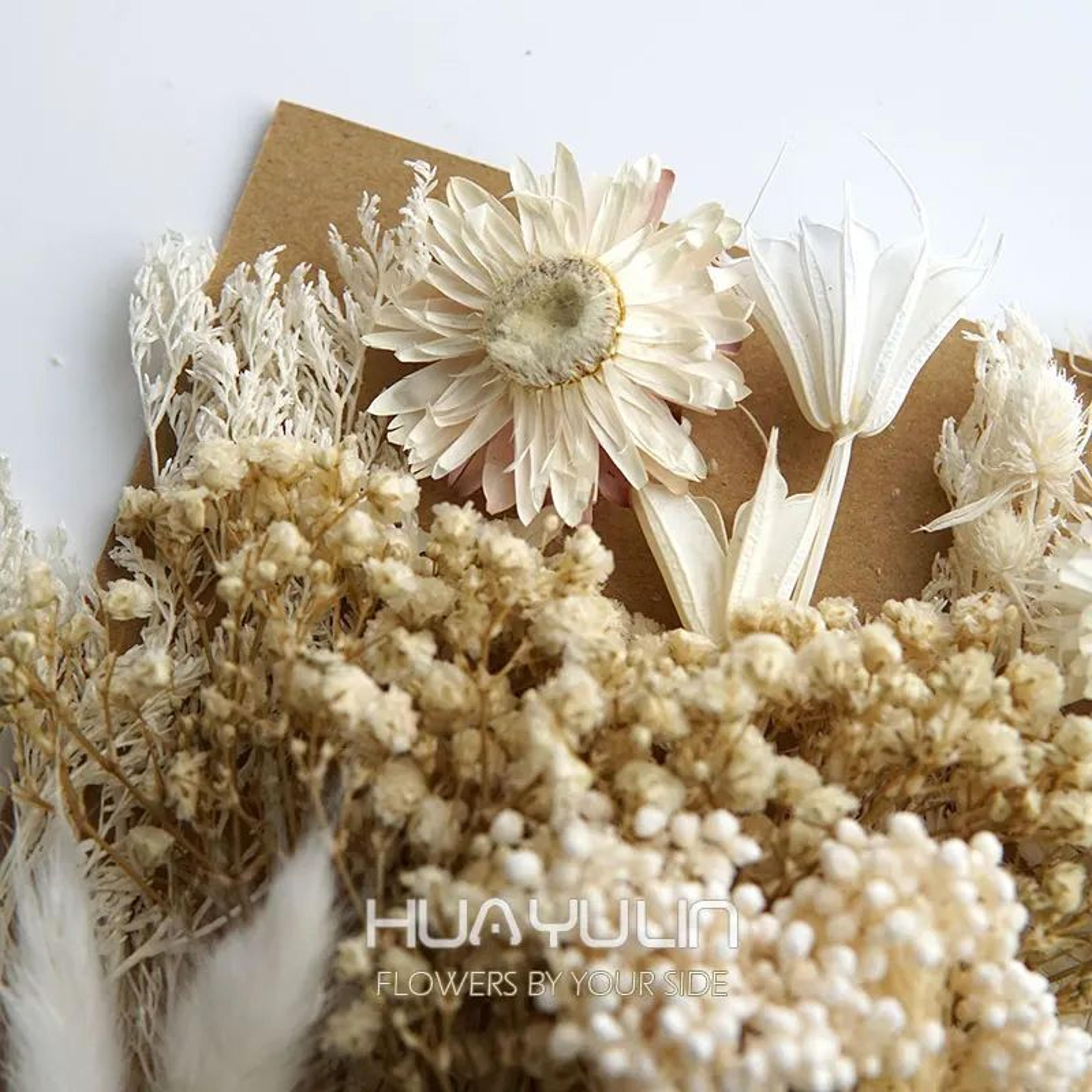 Preserved Dried Hydrangea Flower Set  Real Floral Materials For Resin Candle  DIY Crafts 2