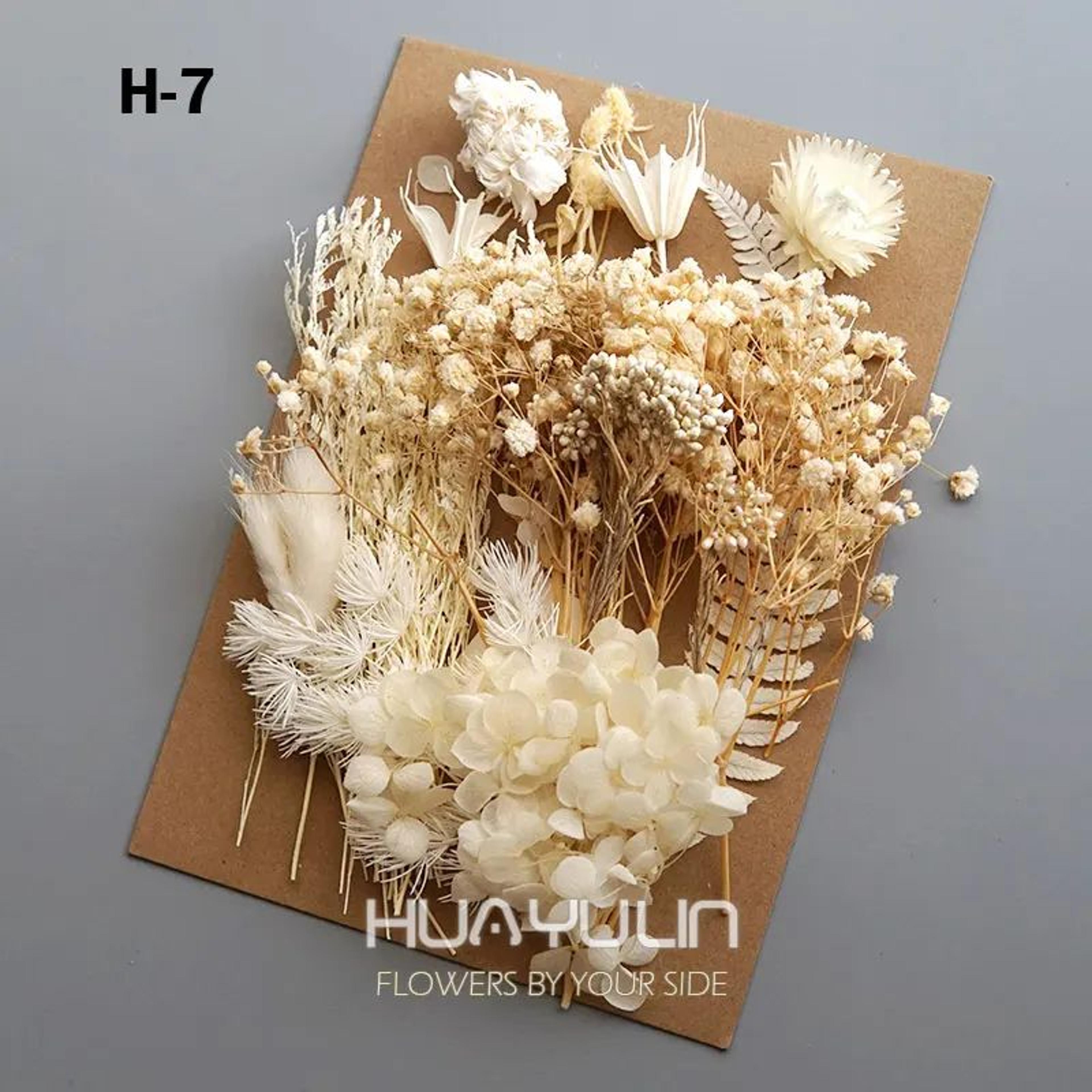 Preserved Dried Hydrangea Flower Set  Real Floral Materials For Resin Candle  DIY Crafts 12