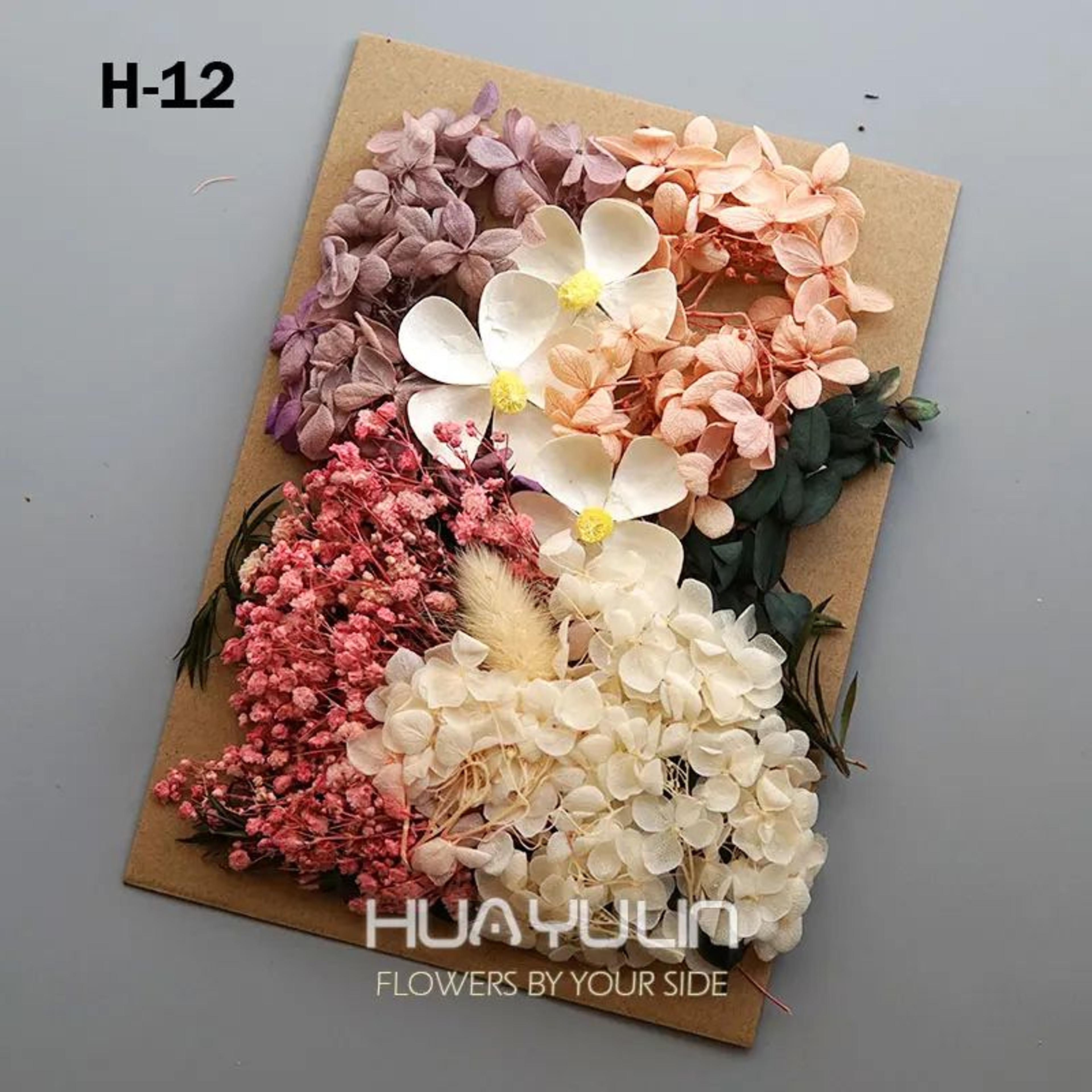Preserved Dried Hydrangea Flower Set  Real Floral Materials For Resin Candle  DIY Crafts 17