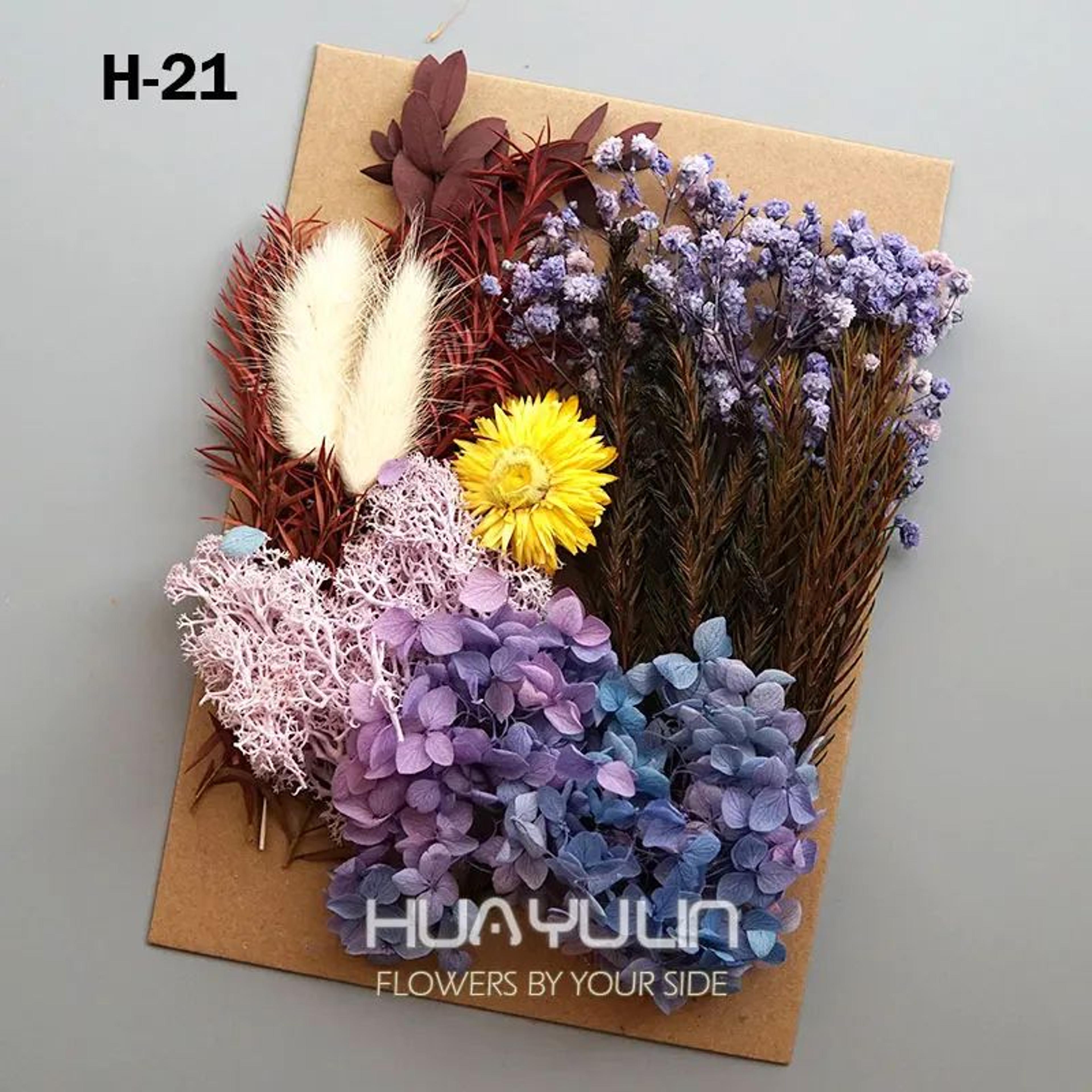 Preserved Dried Hydrangea Flower Set  Real Floral Materials For Resin Candle  DIY Crafts 26
