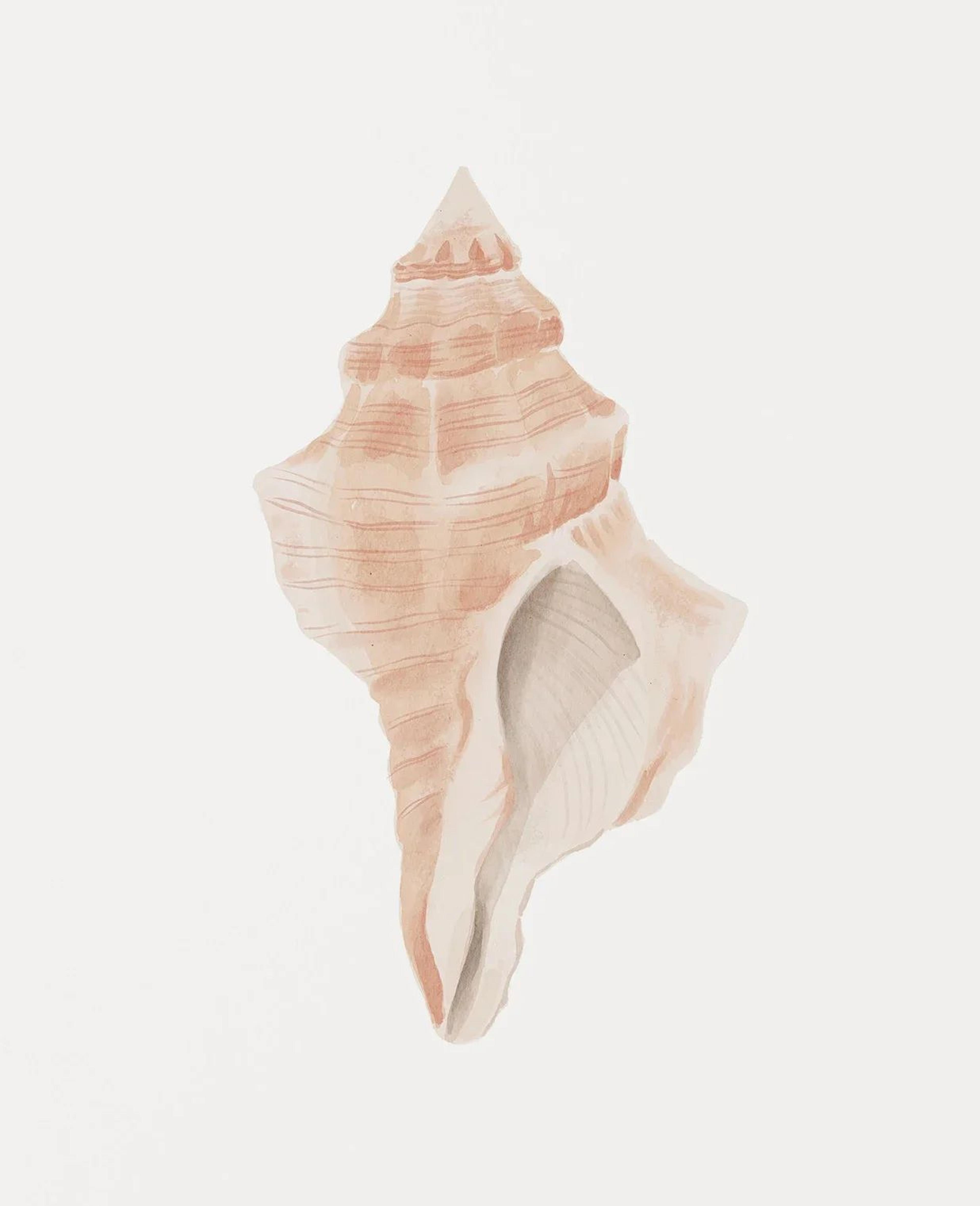 Modern Watercolor Sea Shell  Starfish Canvas Wall Art  Coastal Ocean Print For Living Room Decor 8
