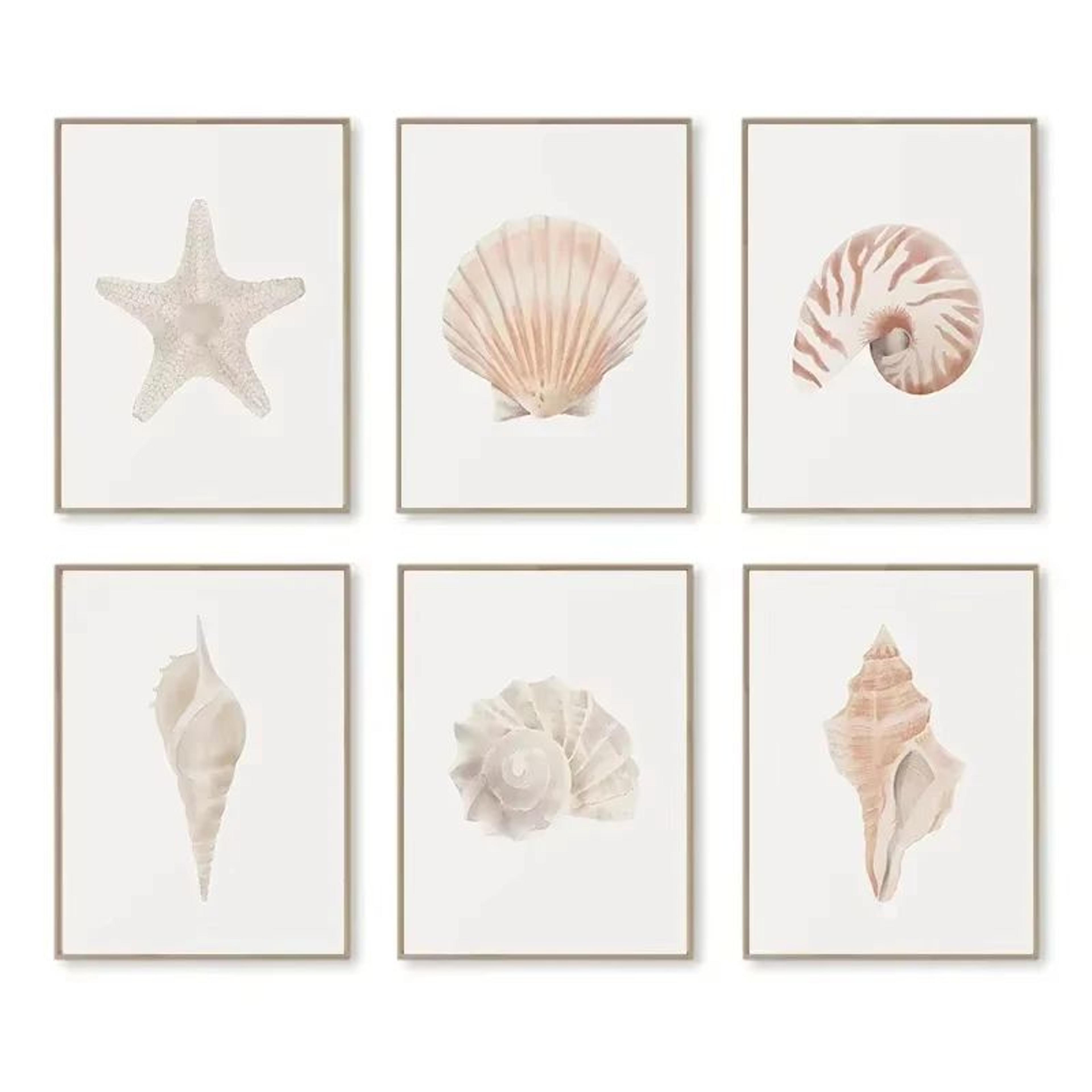 Modern Watercolor Sea Shell  Starfish Canvas Wall Art  Coastal Ocean Print For Living Room Decor 12