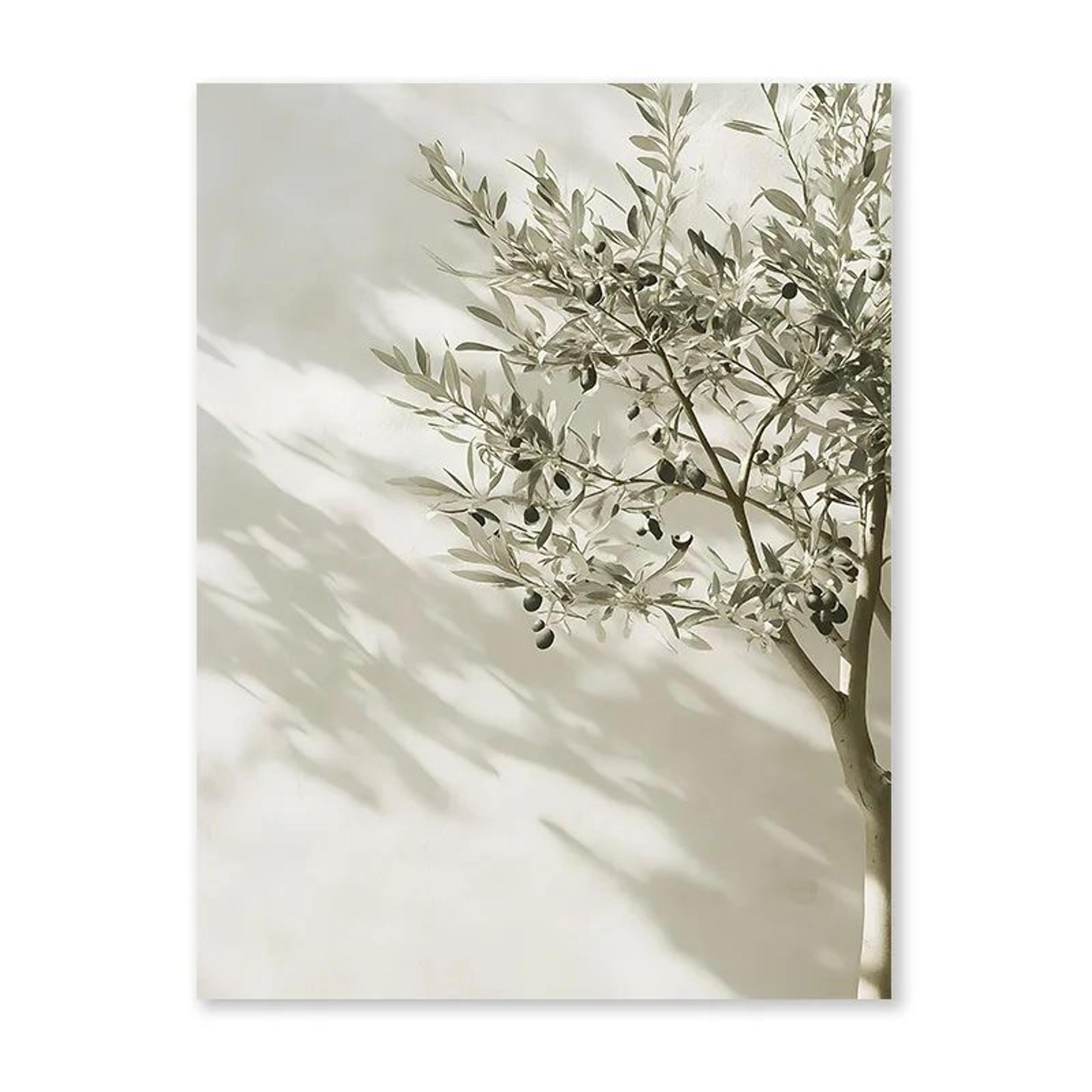 Mediterranean Olive Tree Canvas Wall Art  Countryside Landscape Poster For Living Room  Bedroom Dec 7