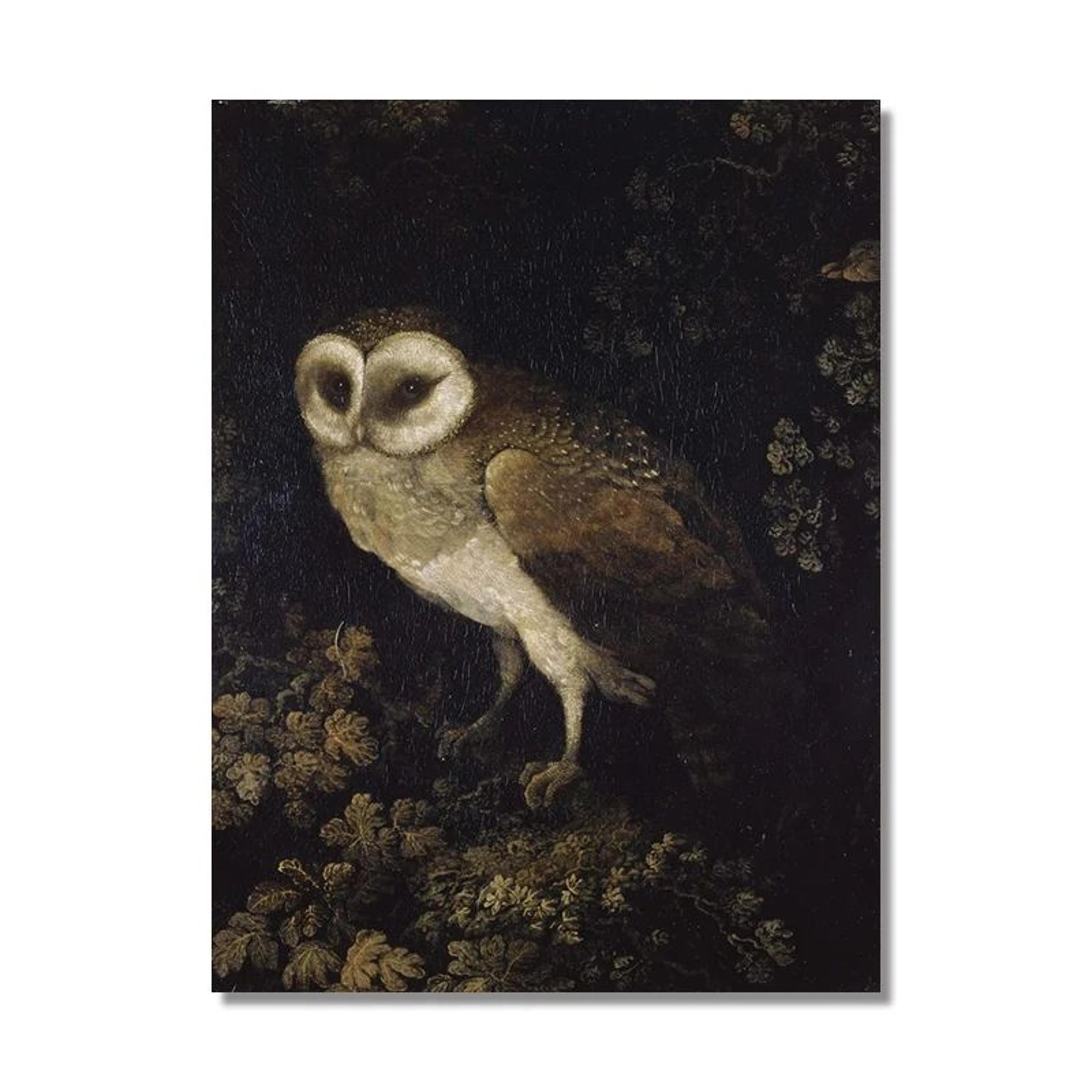 Vintage Owl Canvas Wall Art Dark Academia Cottagecore Nature Poster Print 15