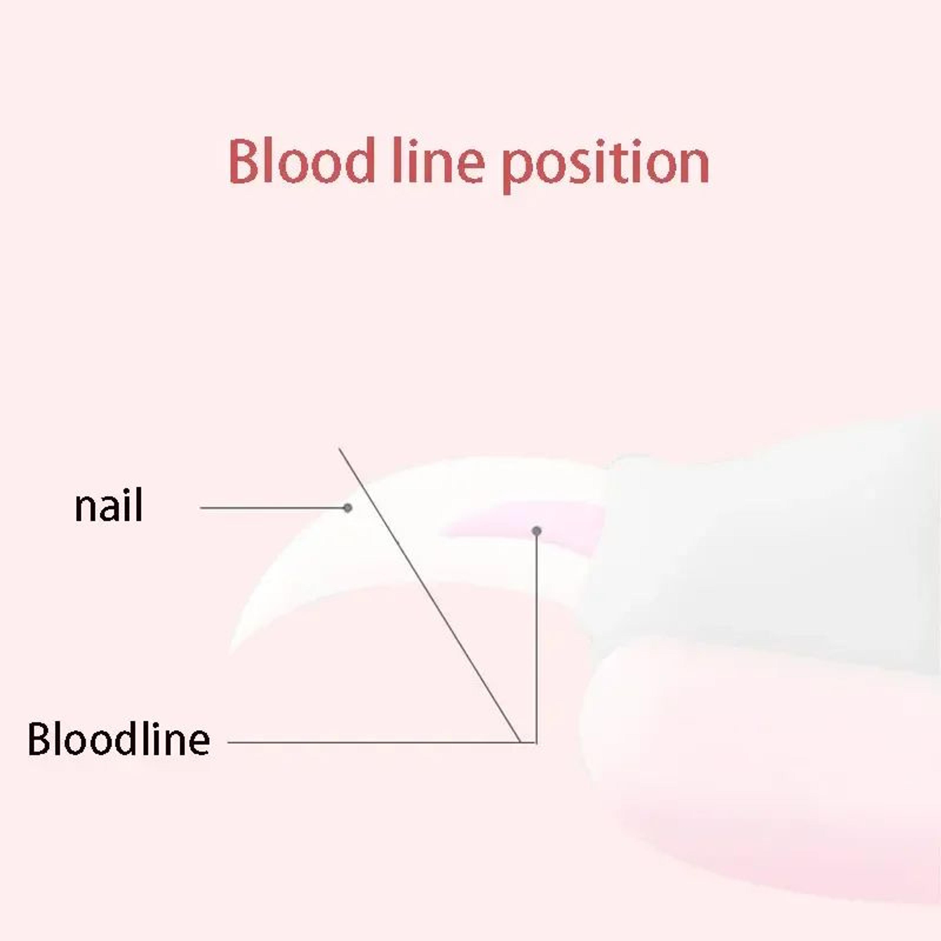 Professional Pet Nail Clippers  Stainless Steel Dog  Cat Nail Trimmer For Safe Grooming 4