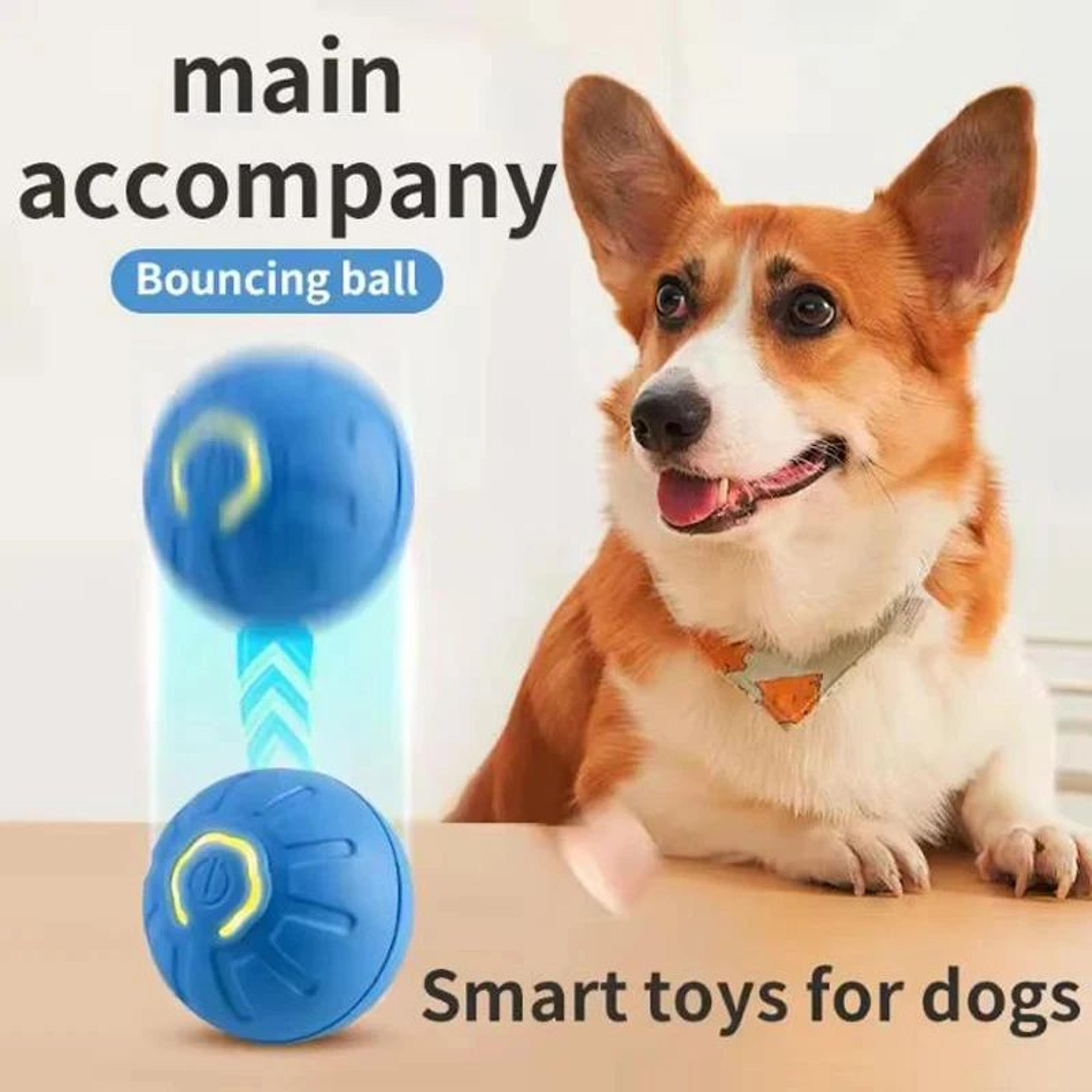 Interactive Rolling Pet Toy Ball  USB Rechargeable Automatic Moving Ball For Dogs  Cats 1