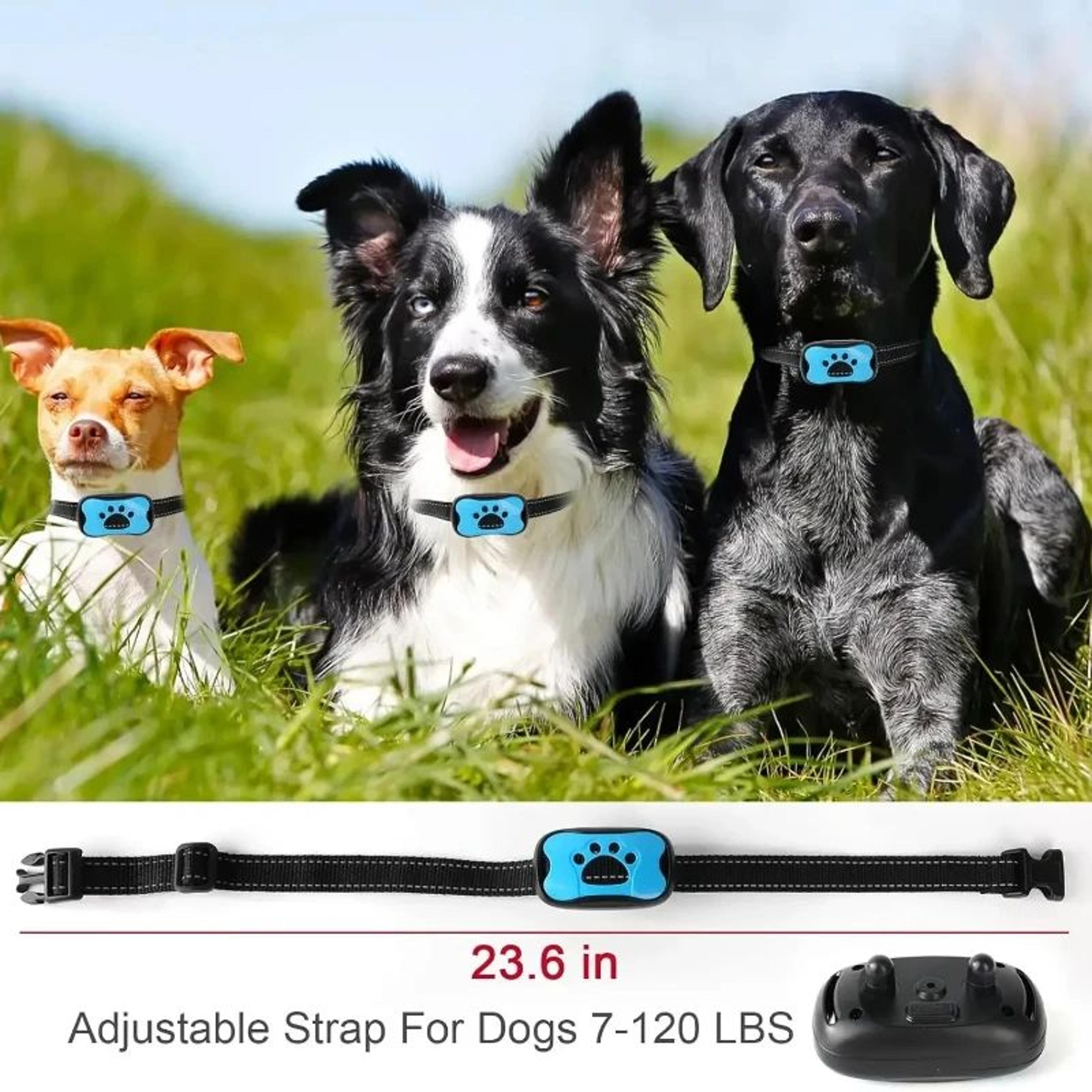 Ultrasonic AntiBark Dog Collar  USB Rechargeable Bark Control Training Collar With Vibration 3