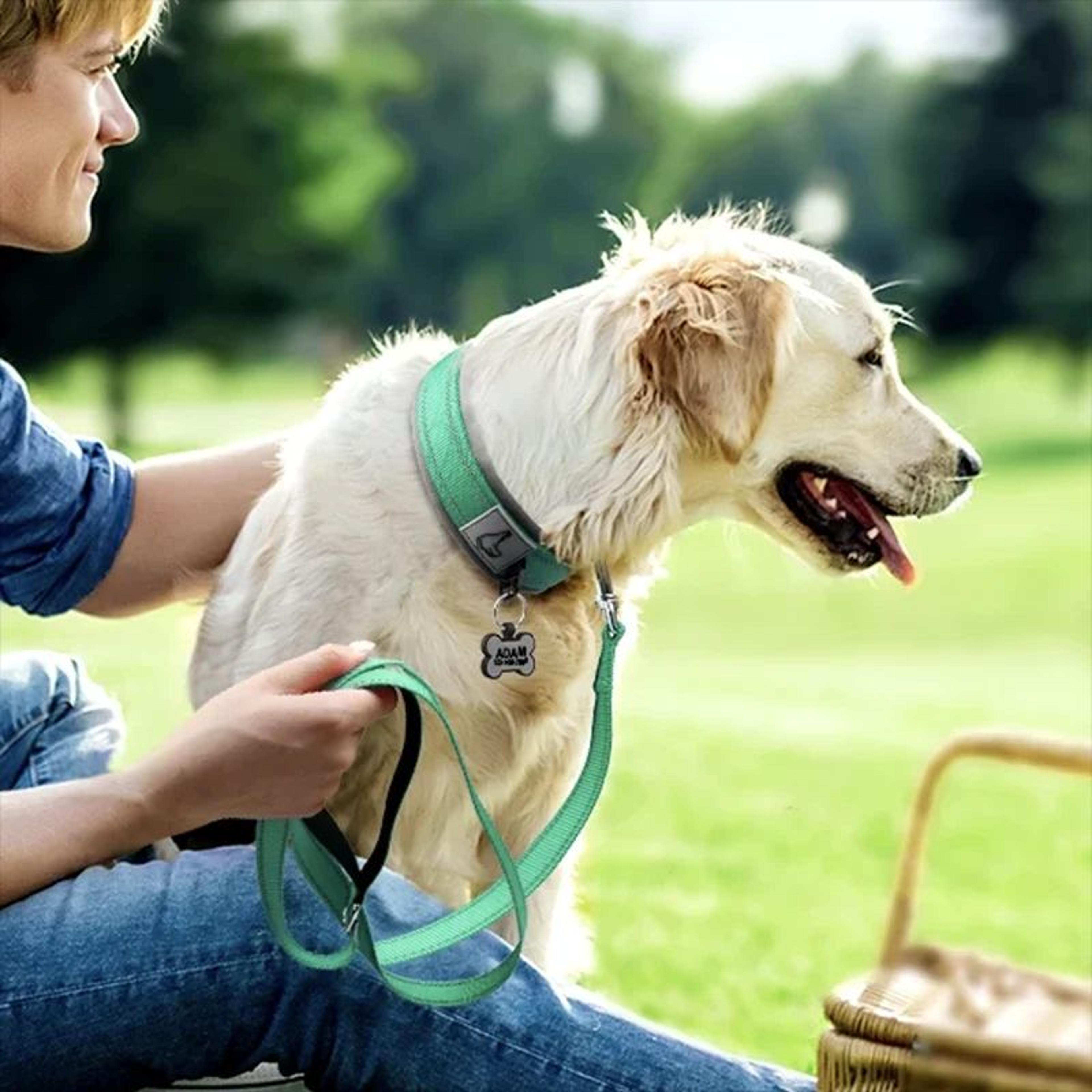 Reflective Padded Dog Collar  Adjustable Heavy Duty Nylon Collar For Small Medium  Large Dogs 5