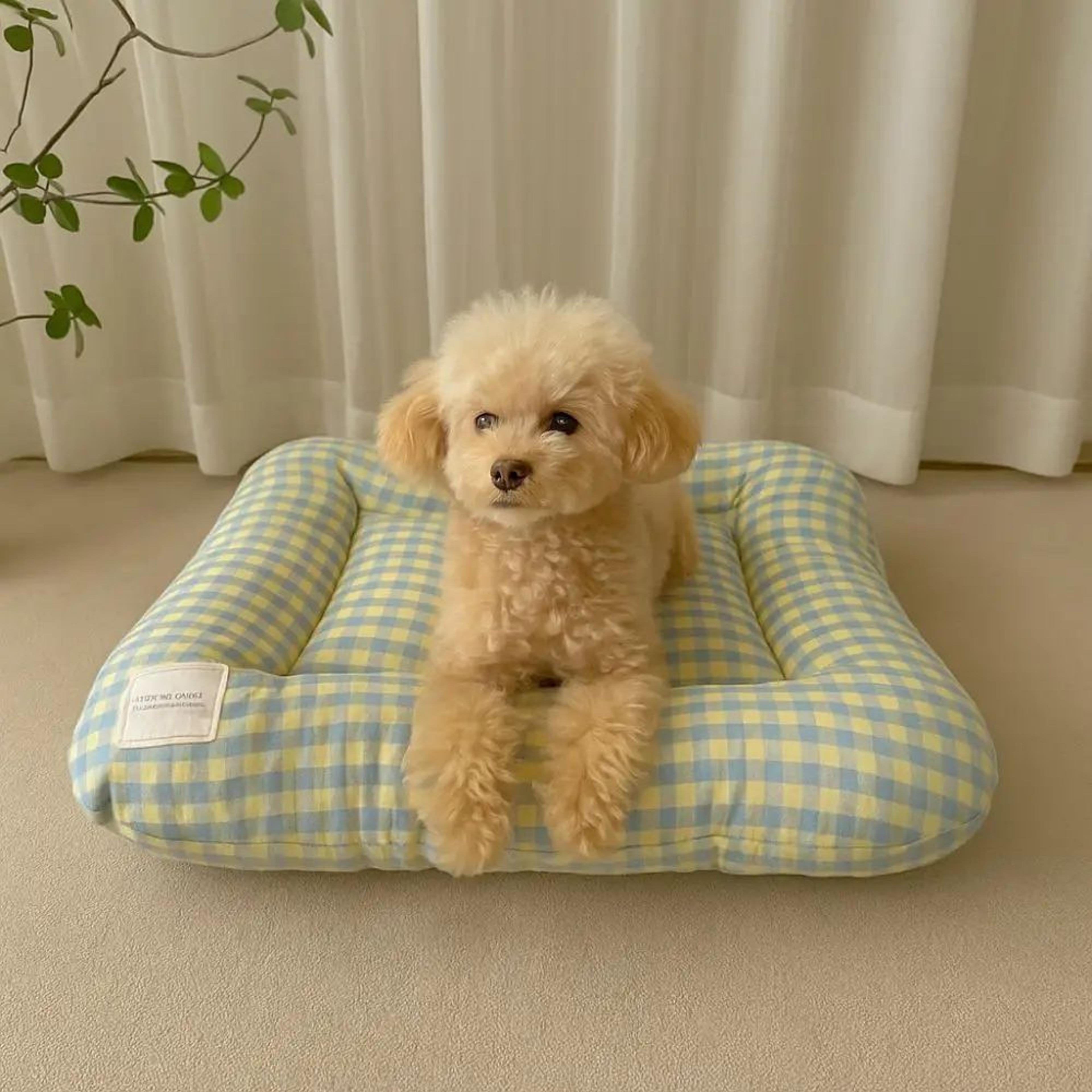 Breathable Macaron Plush Dog Bed Cushion  Soft NonSlip Pet Sleeping Mat For Dogs  Cats 2