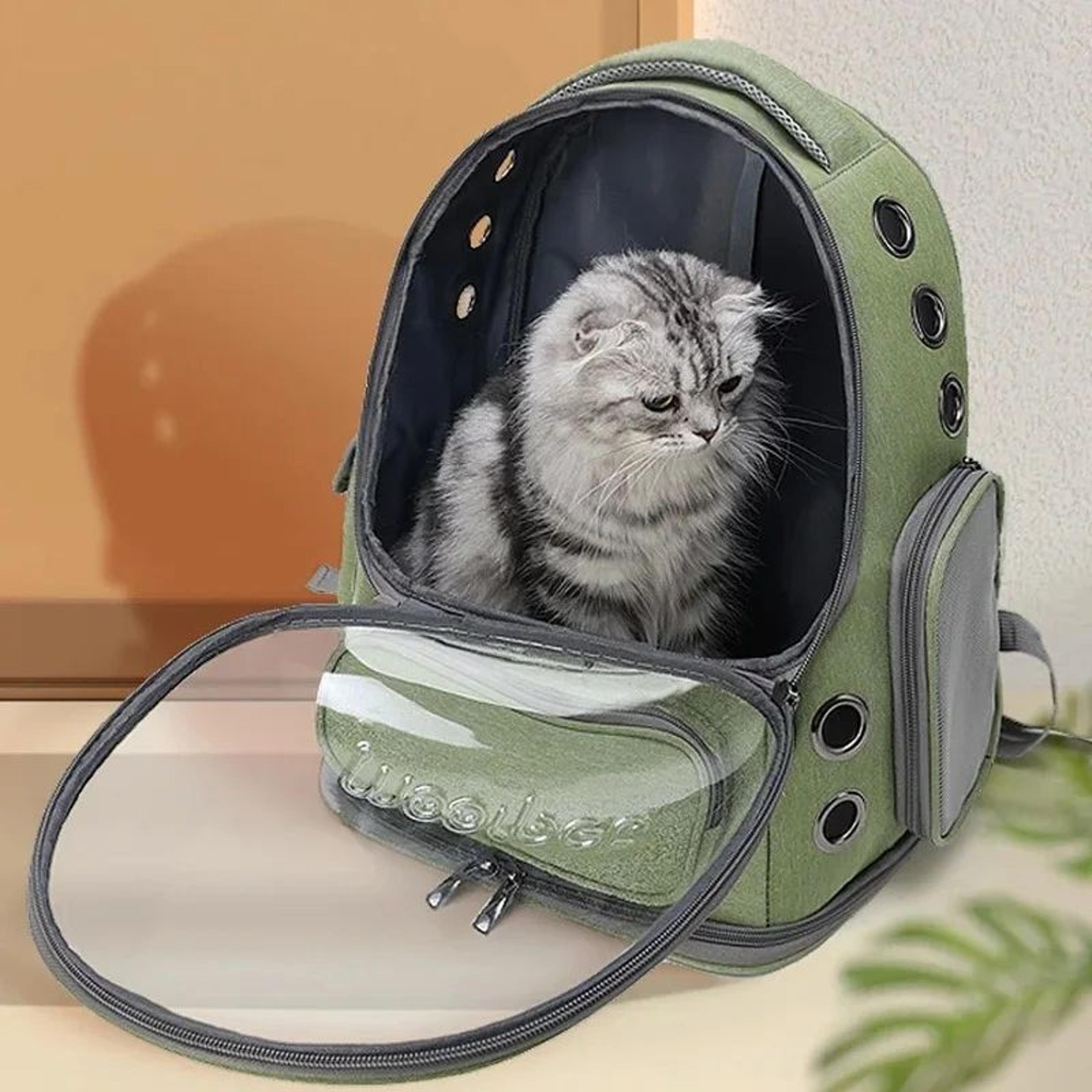 transparent breathable pet carrier backpack – waterproof travel bag for cats & small dogs