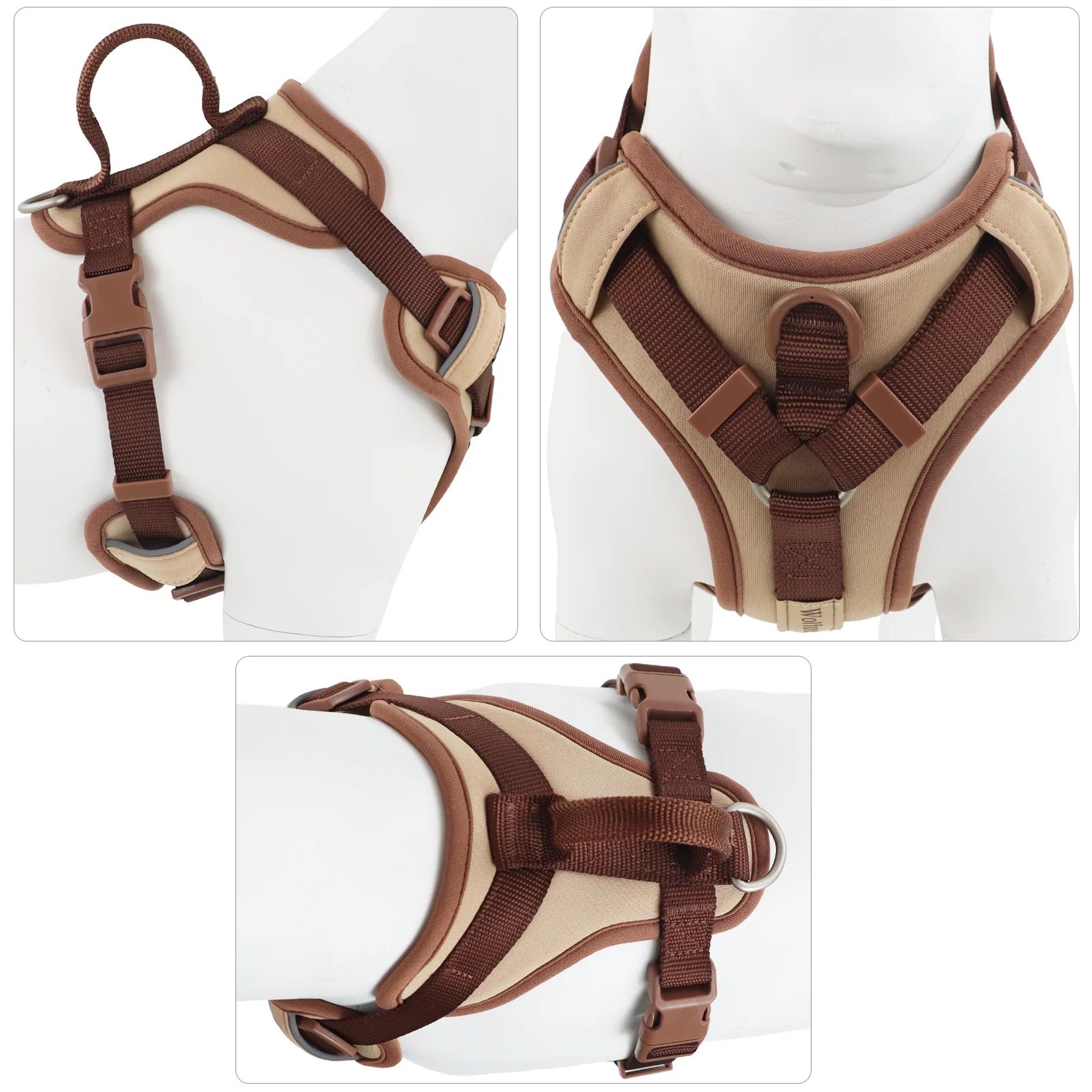 Luxury No Pull Dog Harness  Adjustable Personalized Chest Strap Harness For Small Medium  Large Dog 3