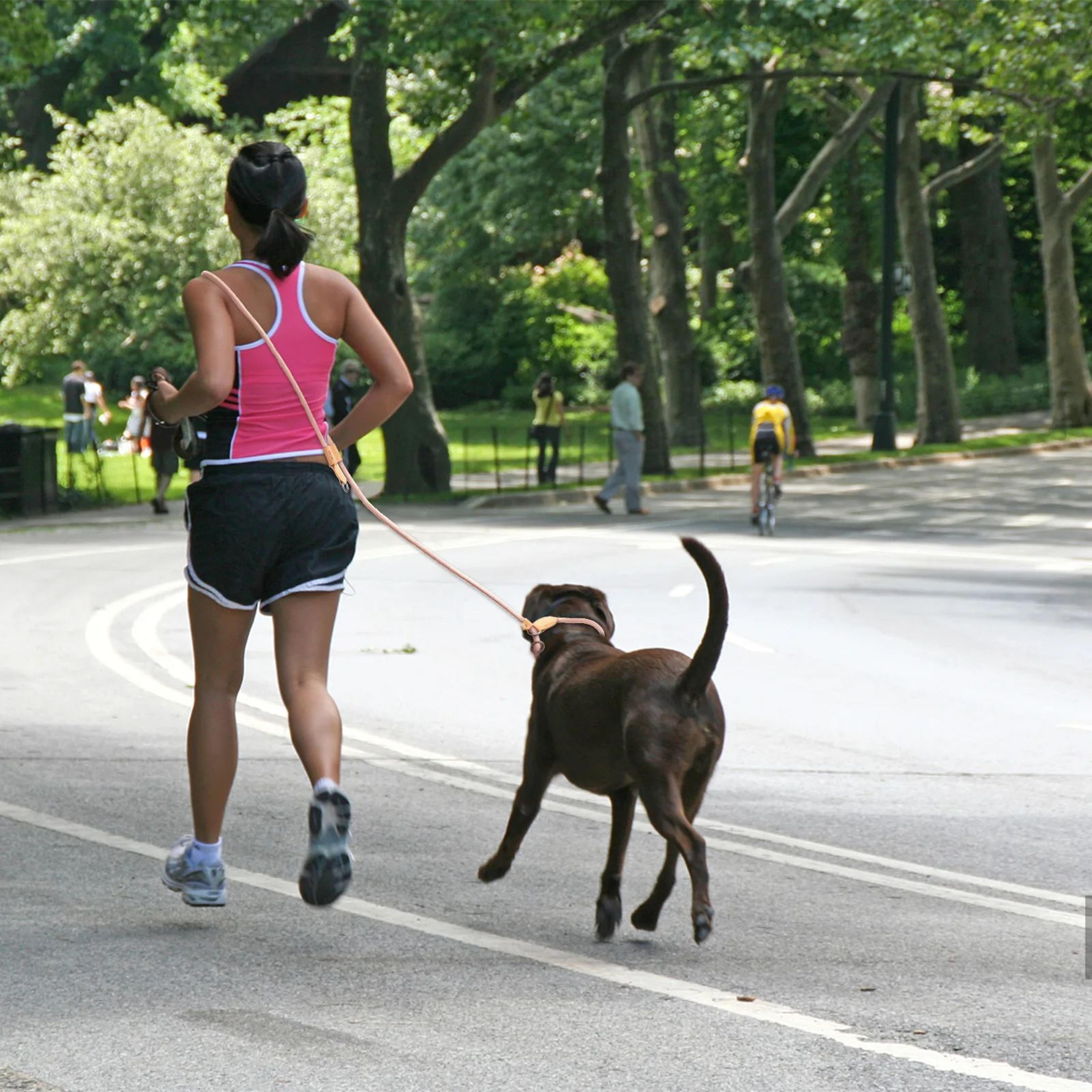 MultiFunctional PShaped HandsFree Dog Leash  Adjustable Running Walking  Training Lead For All Dog  5