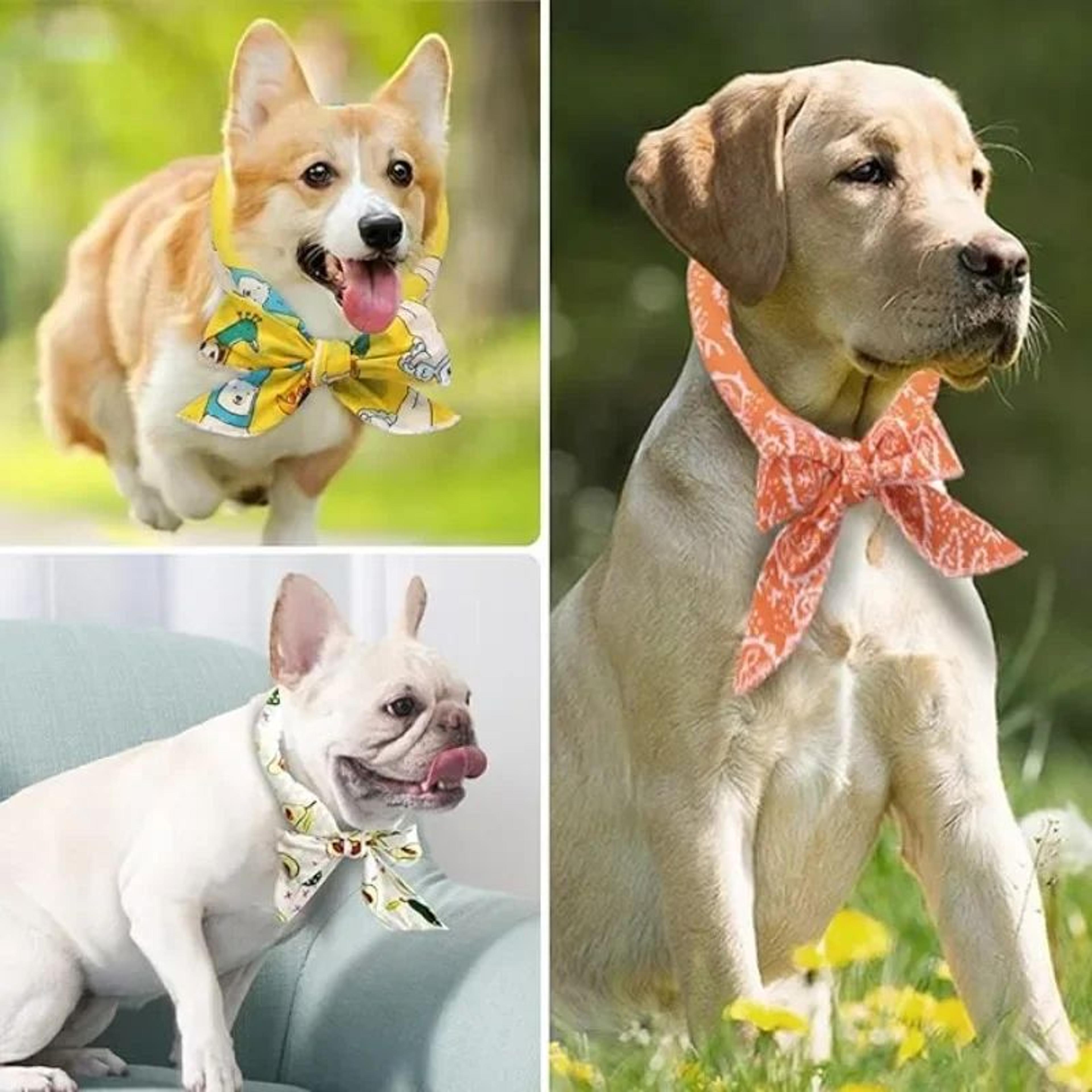 Summer Pet Cooling Scarf Ice Collar  Reusable Breathable Cooling Bandana For Dogs  Cats Outdoor Hea 2