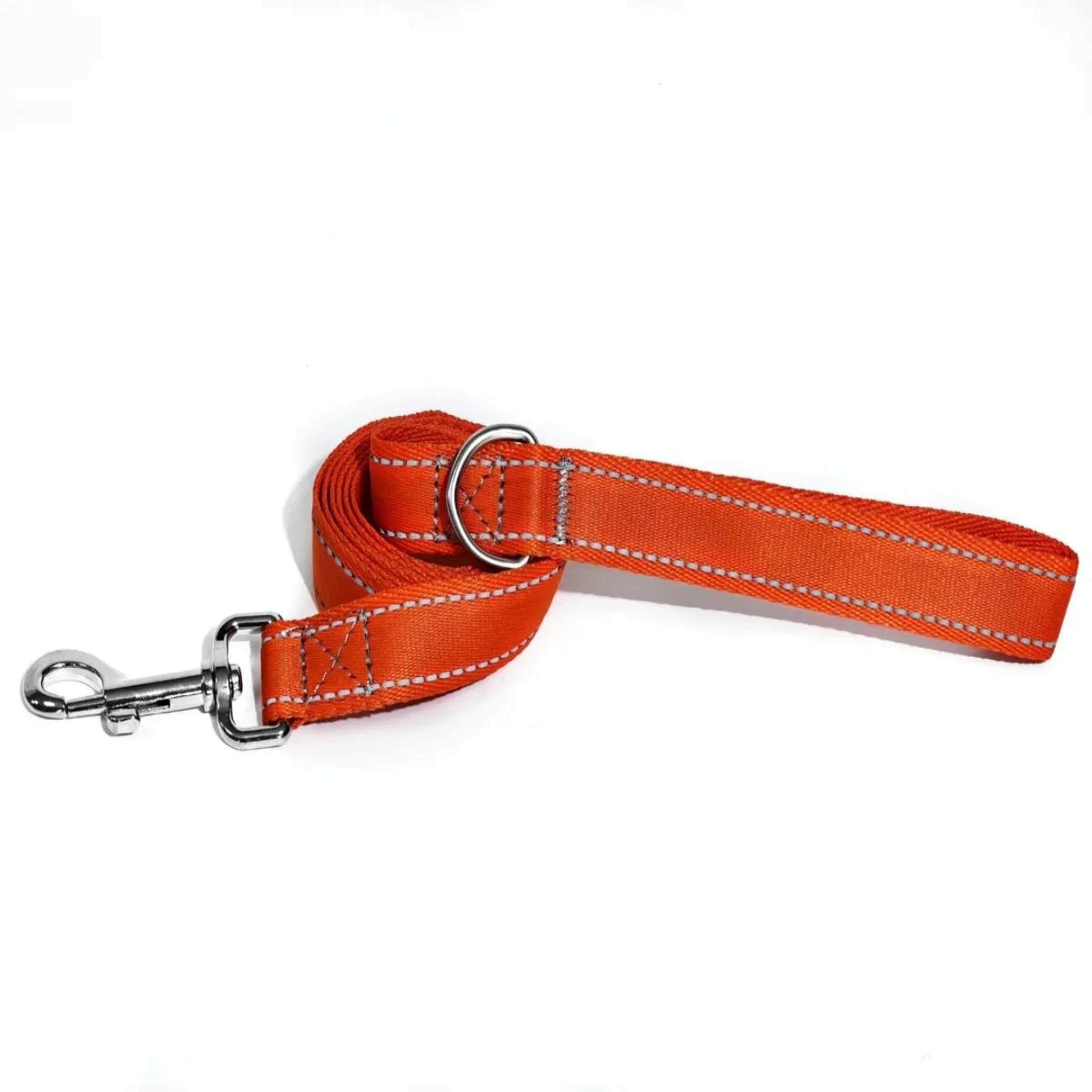 Reflective Nylon Dog Leash 5ft  Heavy Duty Walking Lead With 360 Swivel Clasp Comfort Handle  Night 9