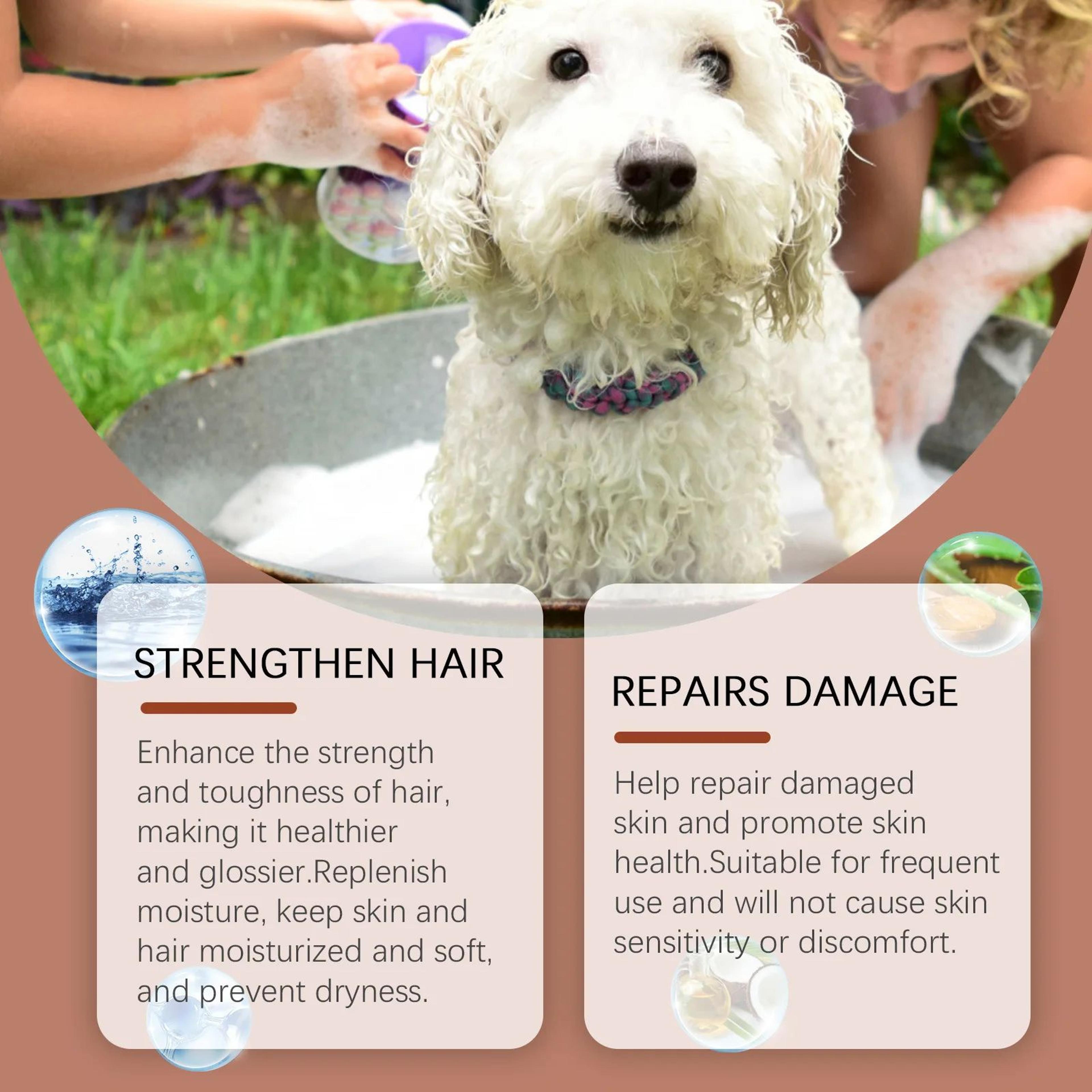 Moisturizing Pet Shampoo  Conditioner  PH Balanced AntiItch Cleaning Foam For Dogs  Cats With Sensi 5