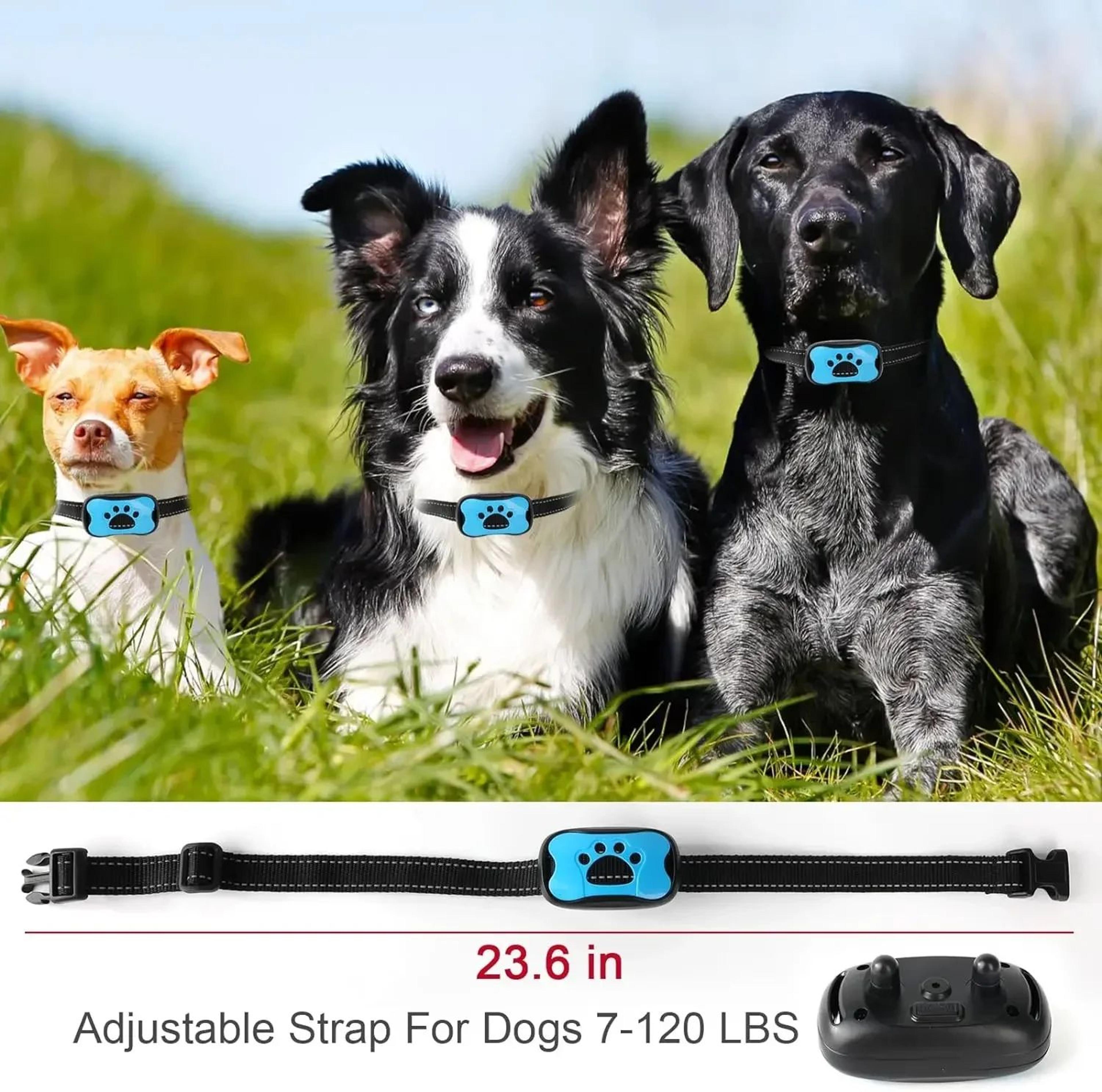 USB Rechargeable AntiBark Dog Collar  Smart Ultrasonic  Vibration Training Device For Safe Bark Con 3