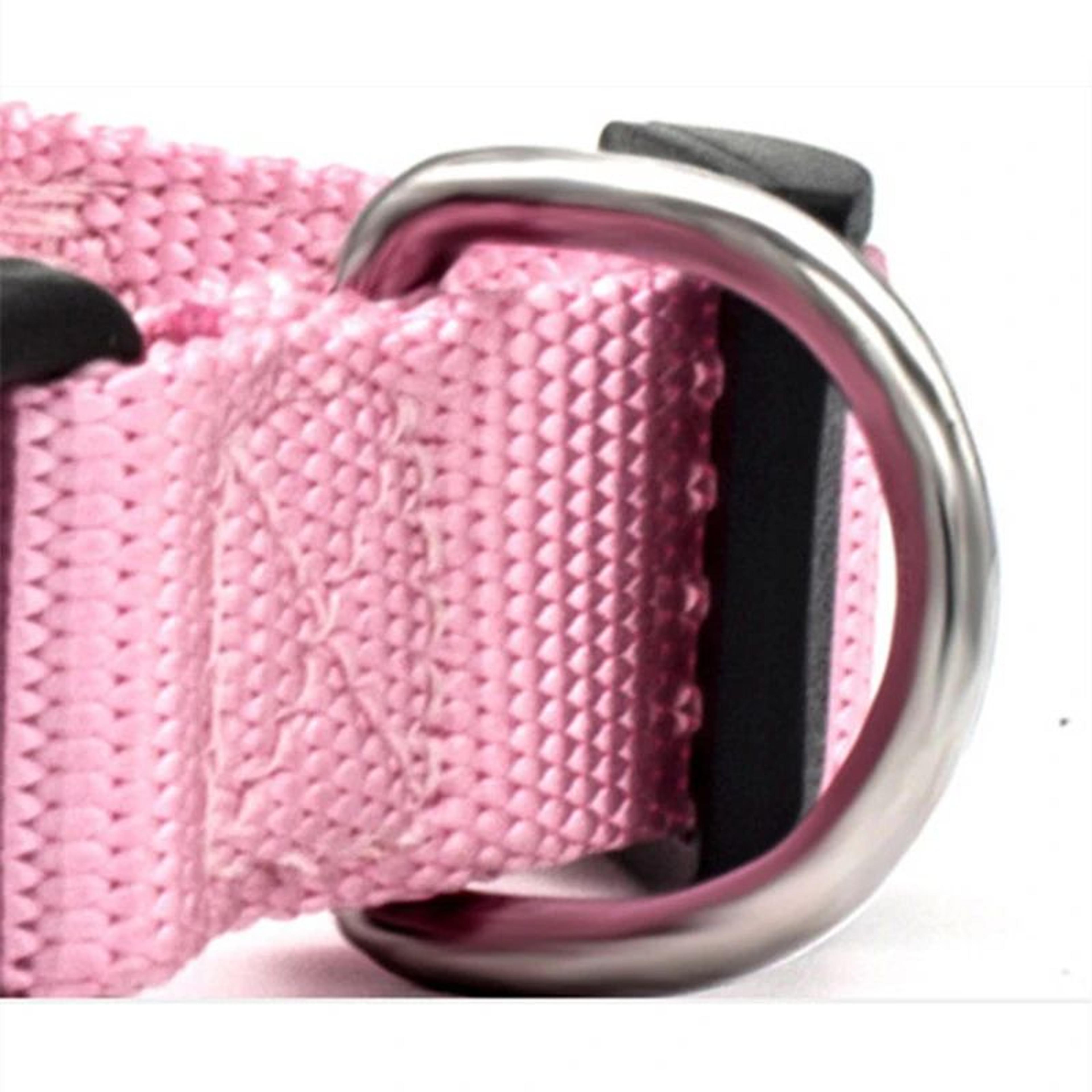 Adjustable Nylon Pet Collar  Durable Lightweight Neck Band For Small  Medium Dogs Puppies And Cats 4