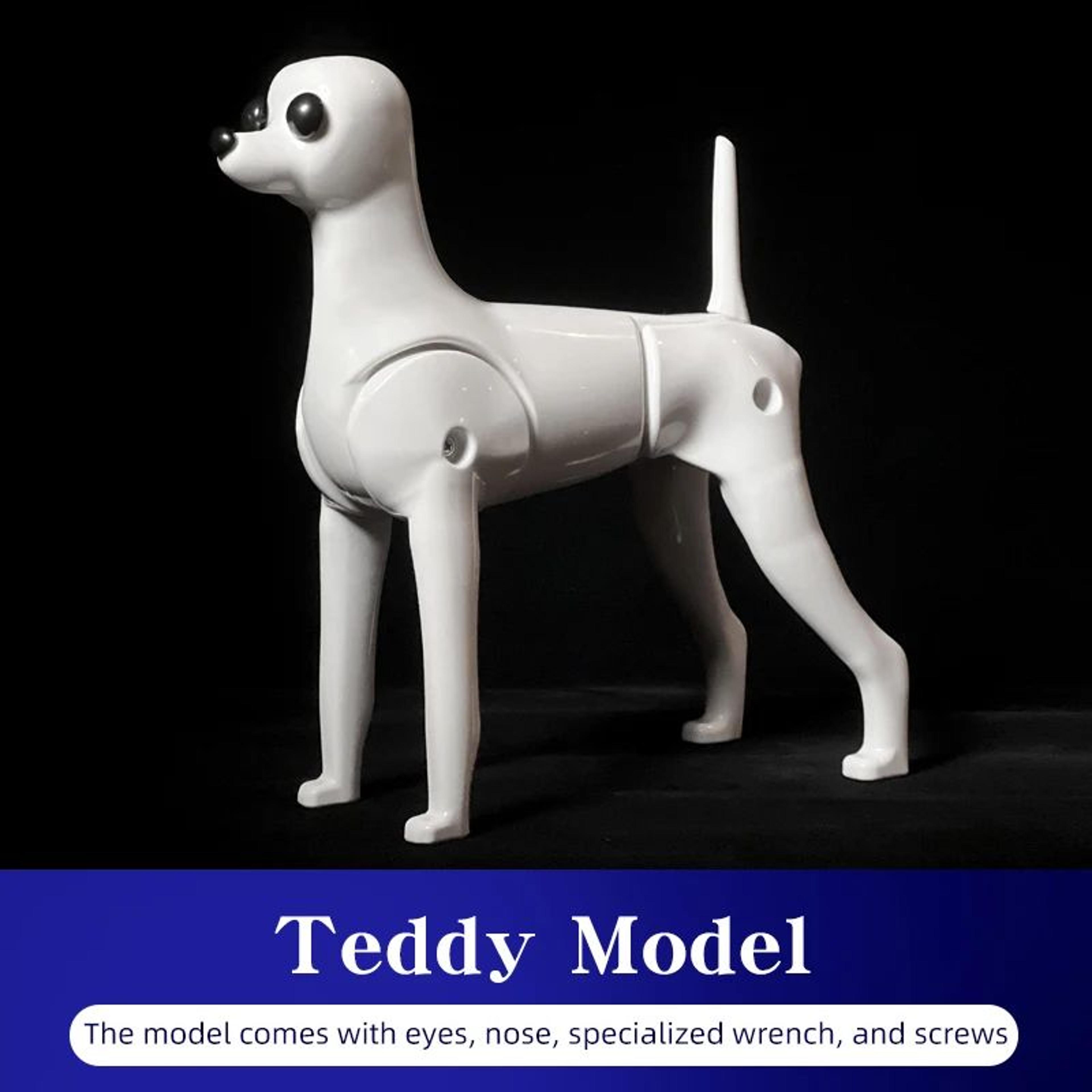 Professional Teddy Dog Grooming Practice Model  Full Body Plush Training Dog With Removable Head  S 10