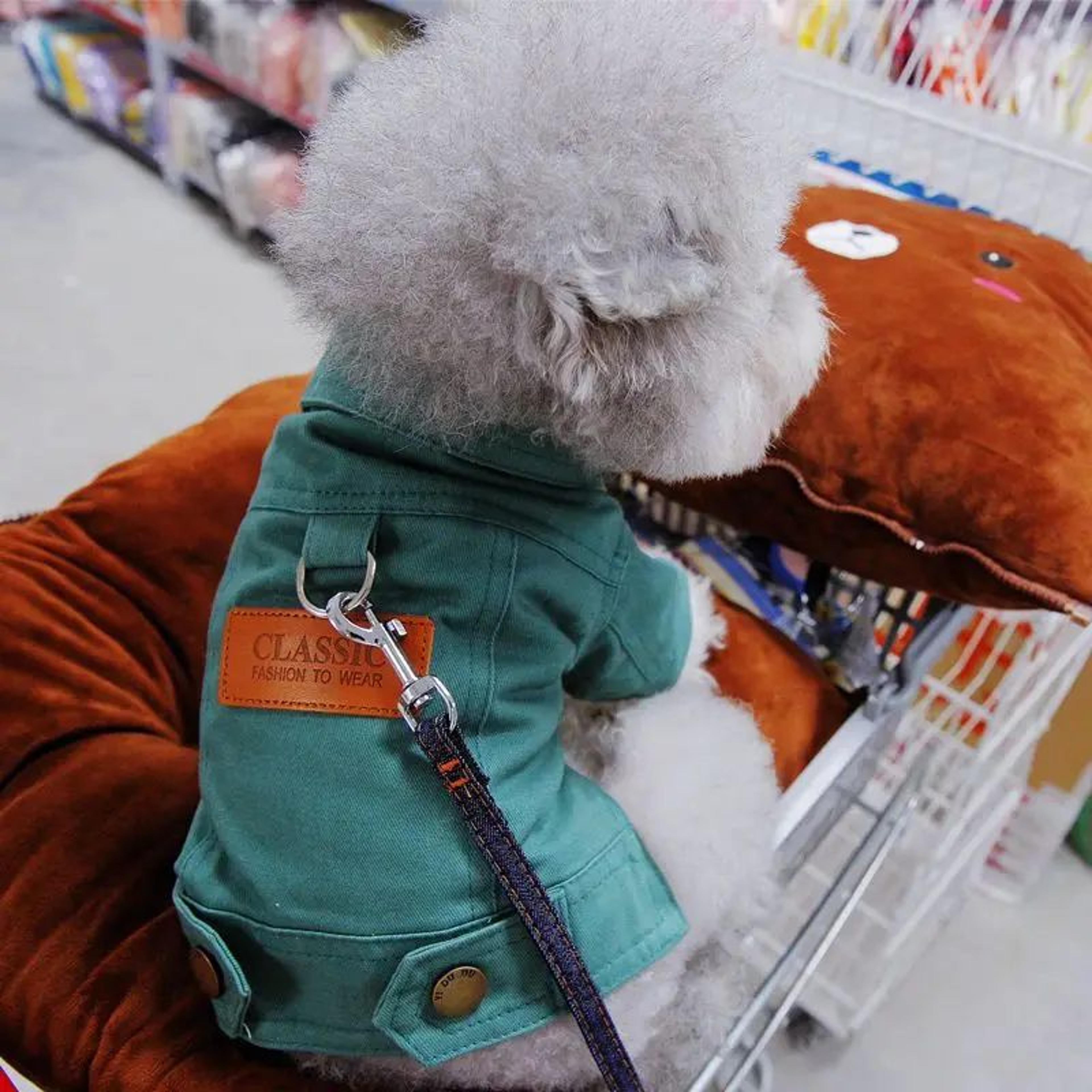 Denim Dog Jacket Harness Vest With DRing  Stylish Spring Puppy Outfit For Small  Medium Dogs 2