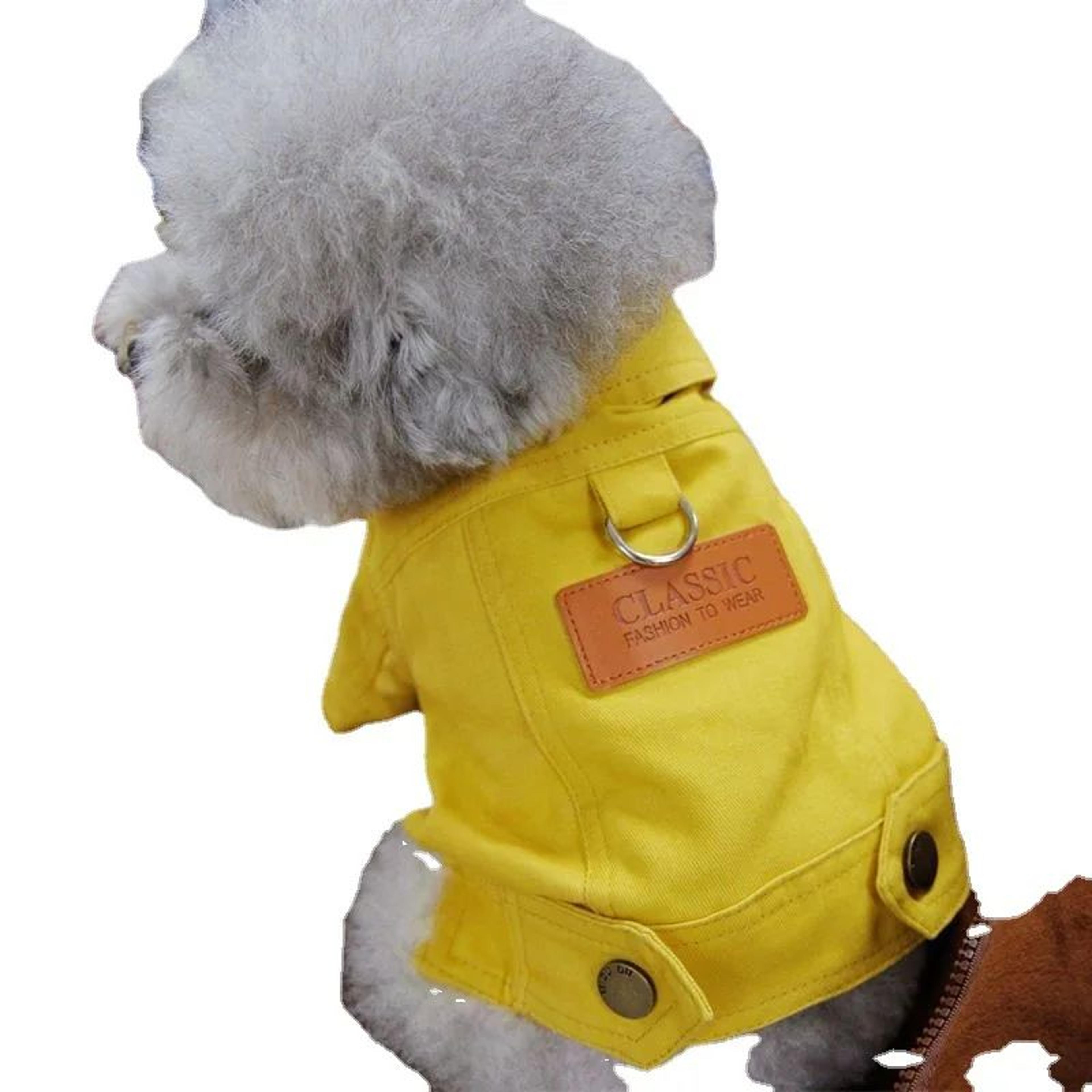 Denim Dog Jacket Harness Vest With DRing  Stylish Spring Puppy Outfit For Small  Medium Dogs 4