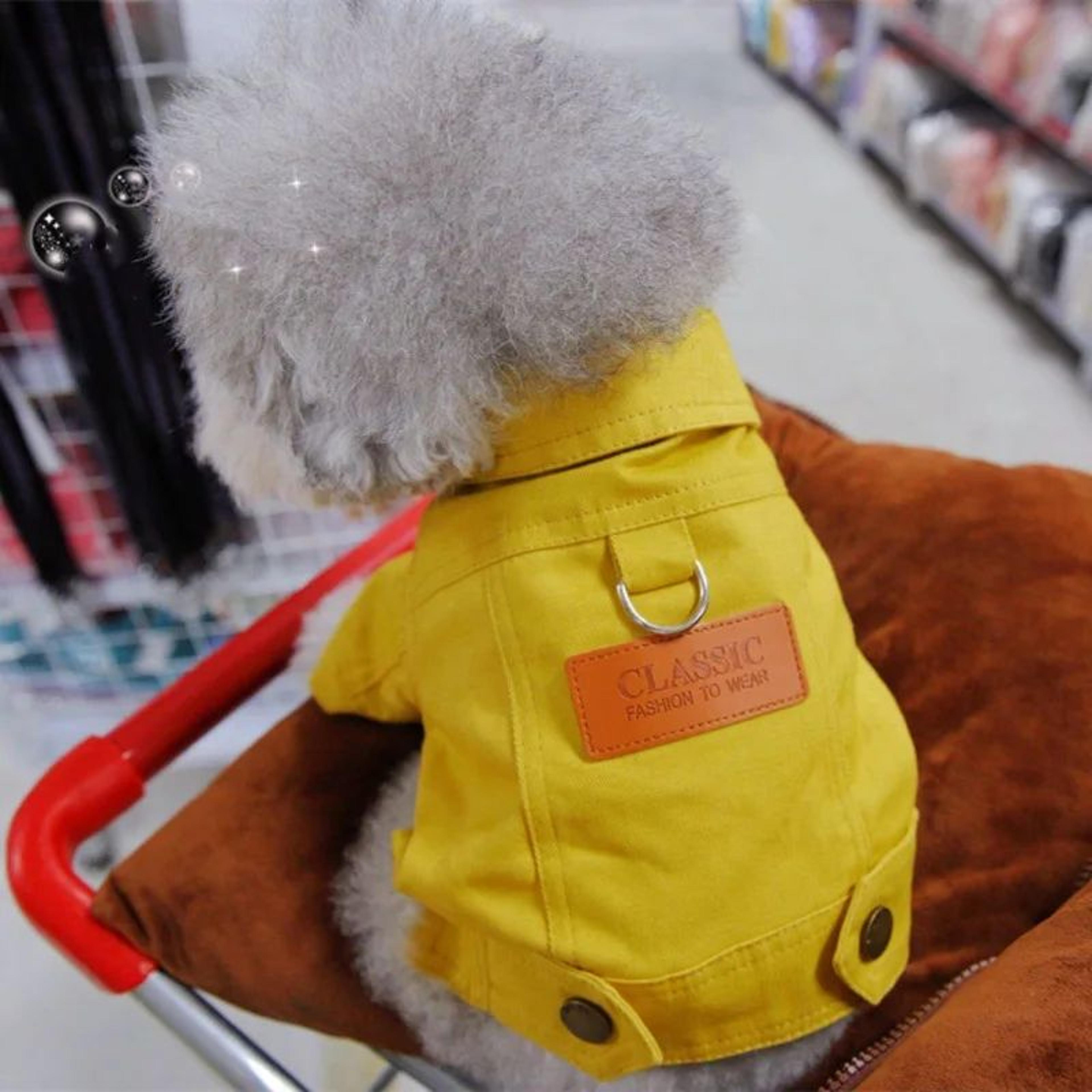 Denim Dog Jacket Harness Vest With DRing  Stylish Spring Puppy Outfit For Small  Medium Dogs 8