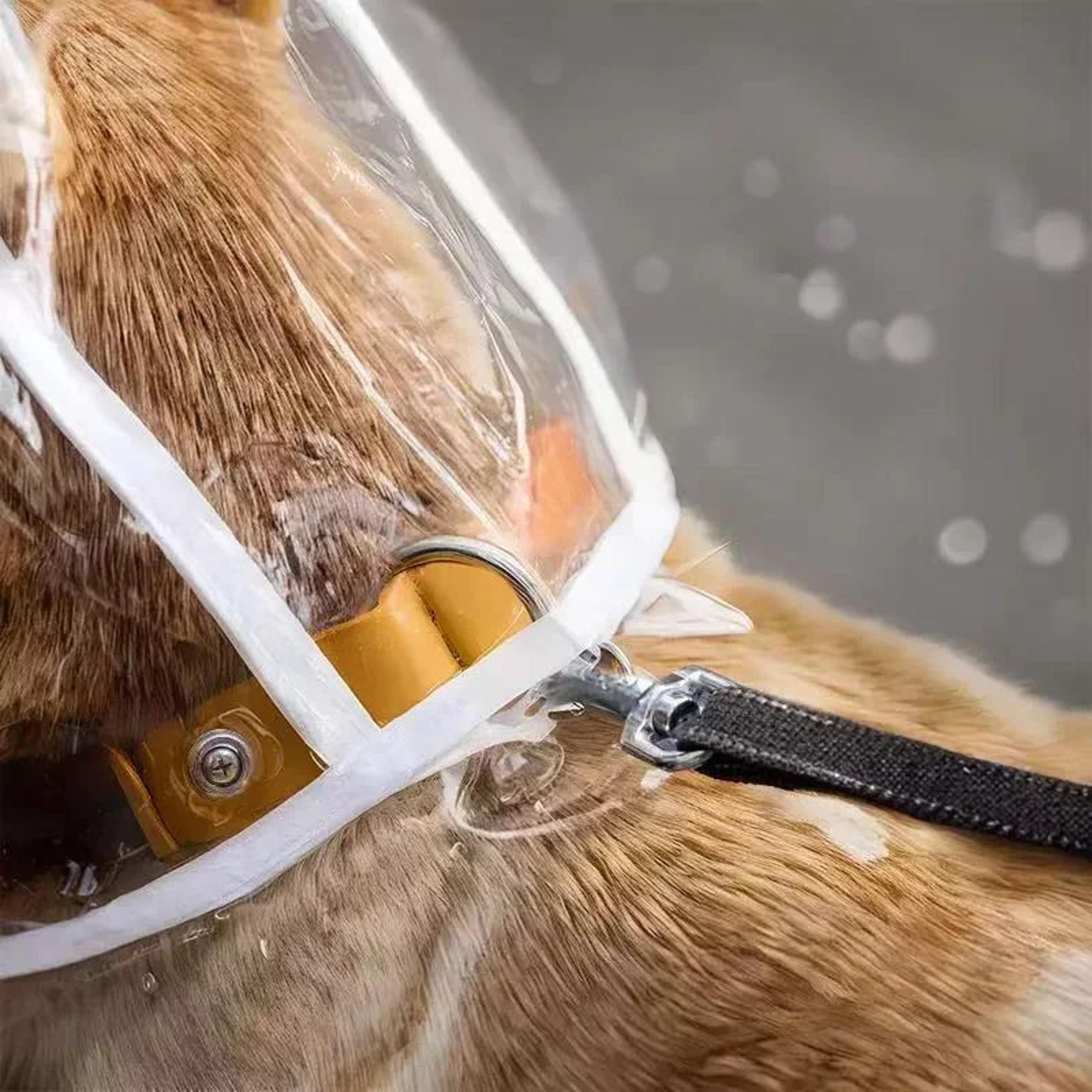 Transparent Waterproof Dog Raincoat  Windproof Pet Rain Jacket For Small Medium  Large Dogs 2