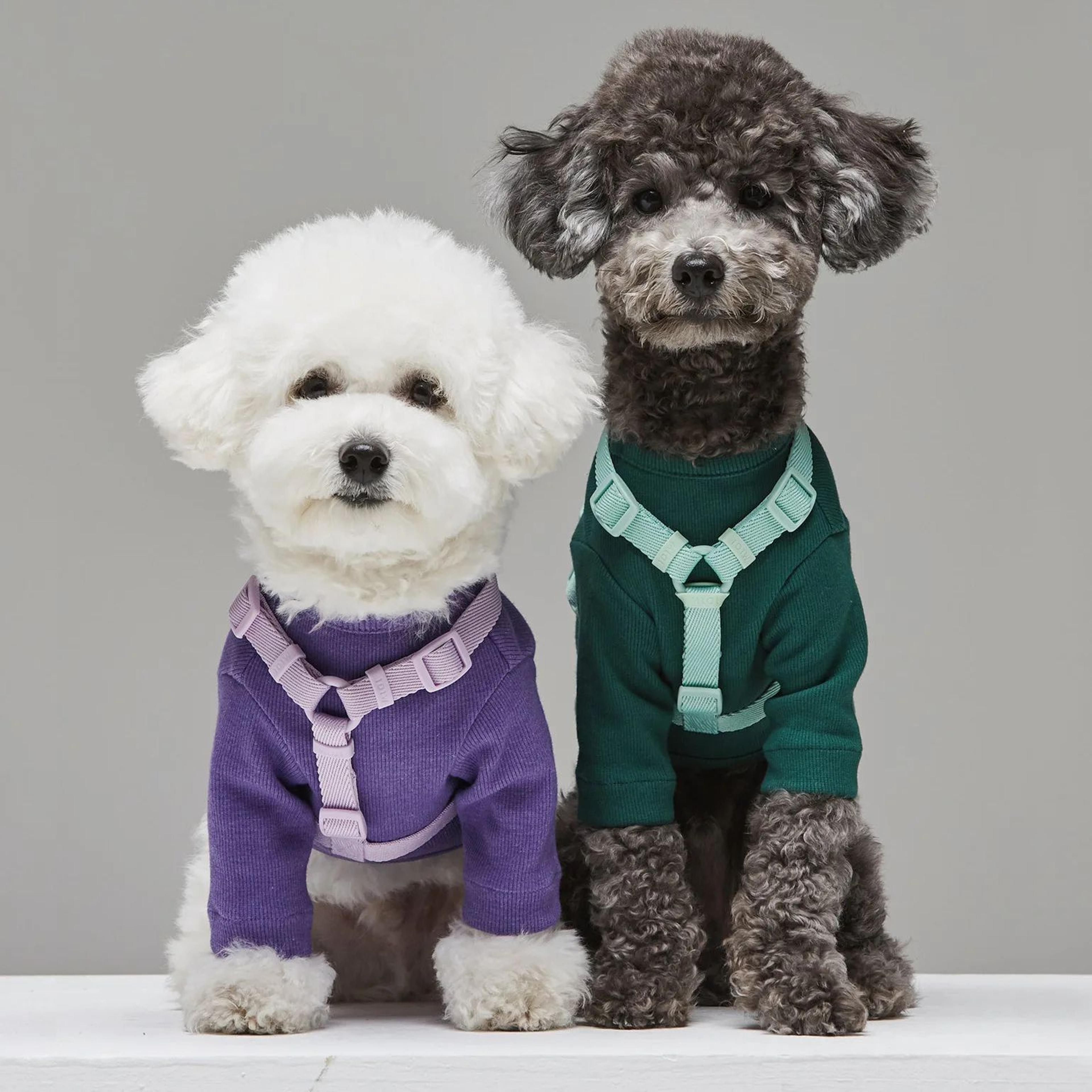 Macaron Adjustable Dog Harness And Leash Set  Soft Nylon Pet Vest For Small  Medium Dogs 1