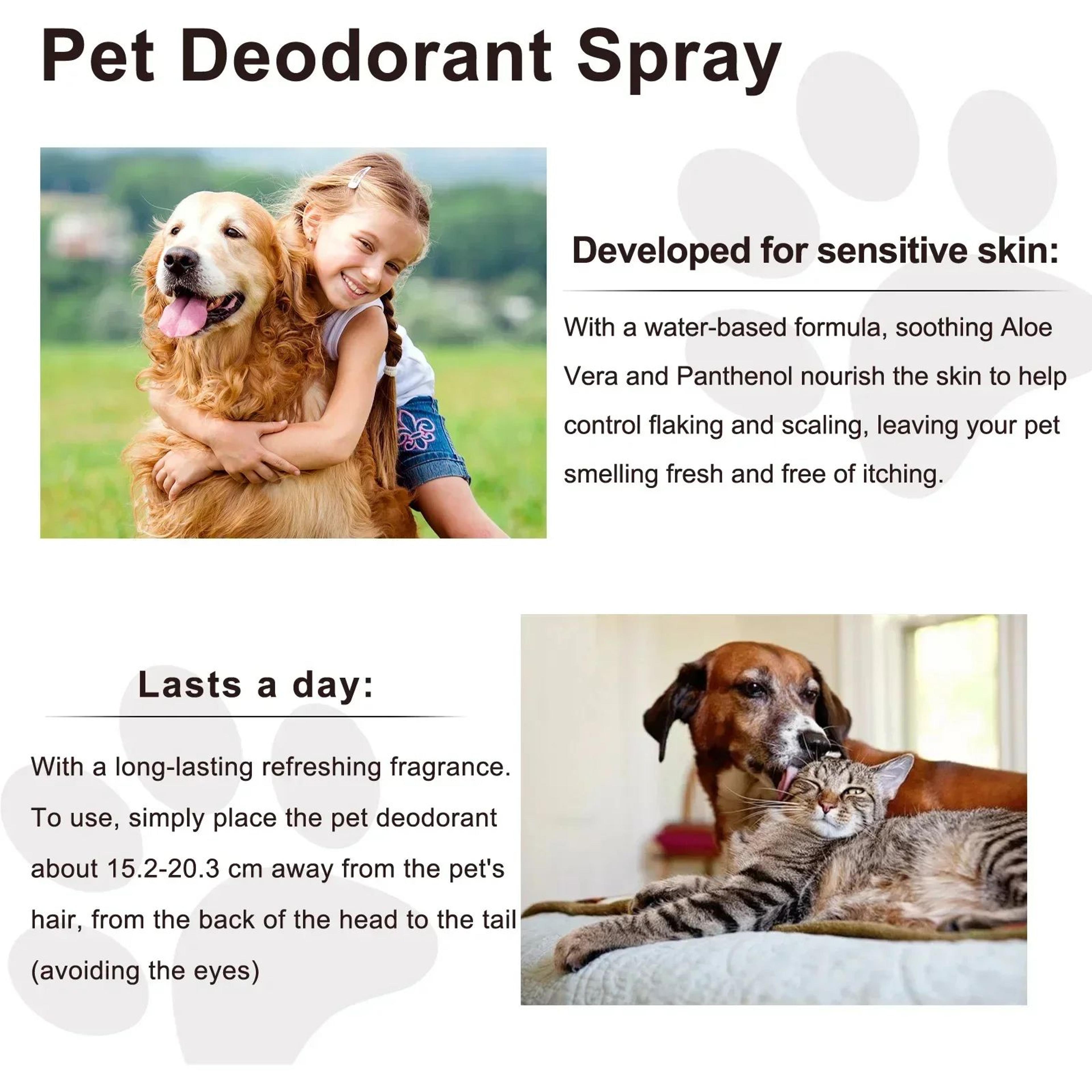 Lavender Pet Deodorizing Spray  Natural Dog  Cat Perfume For Odor Control AntiItch  Coat Freshening