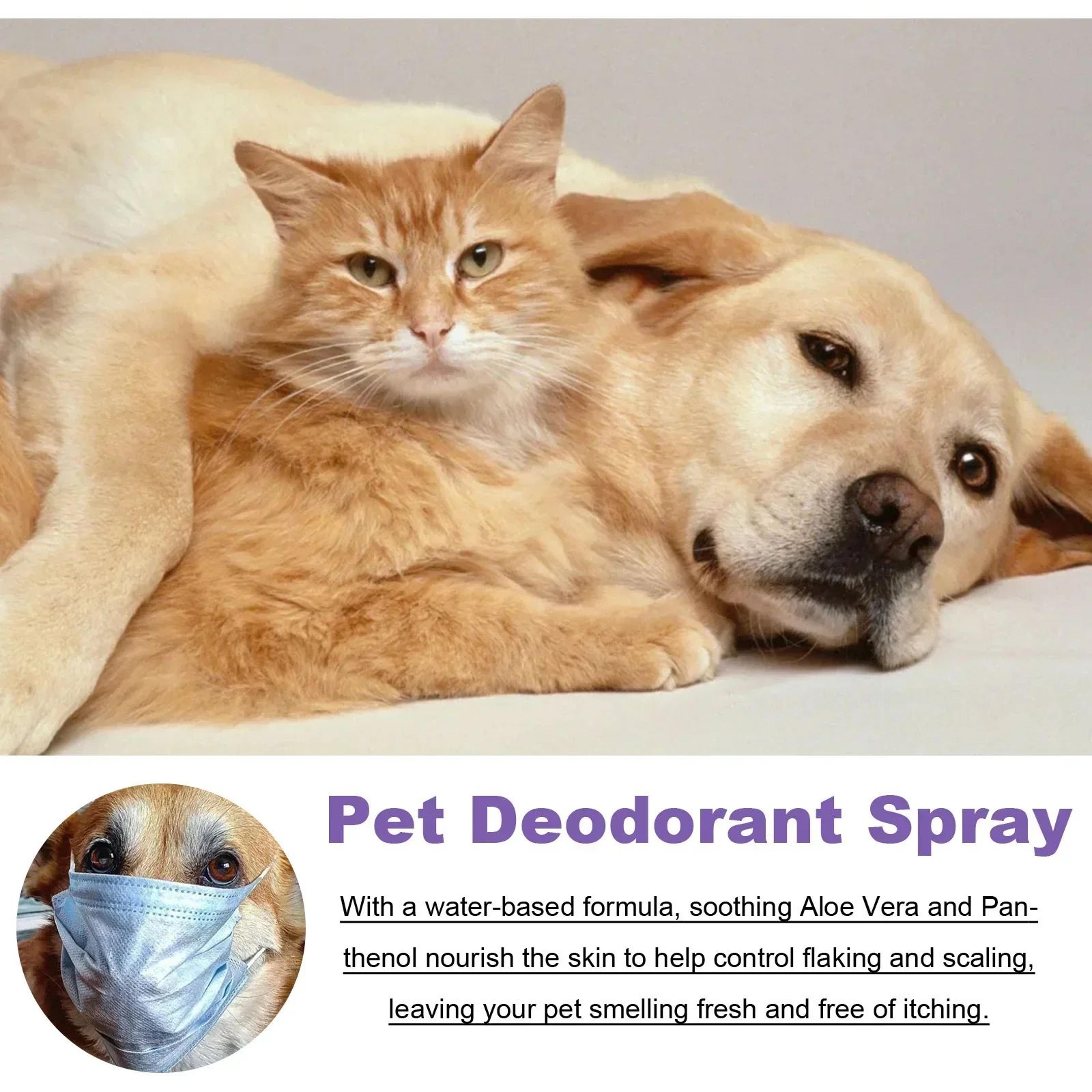 Lavender Pet Deodorizing Spray  Natural Dog  Cat Perfume For Odor Control AntiItch  Coat Freshening