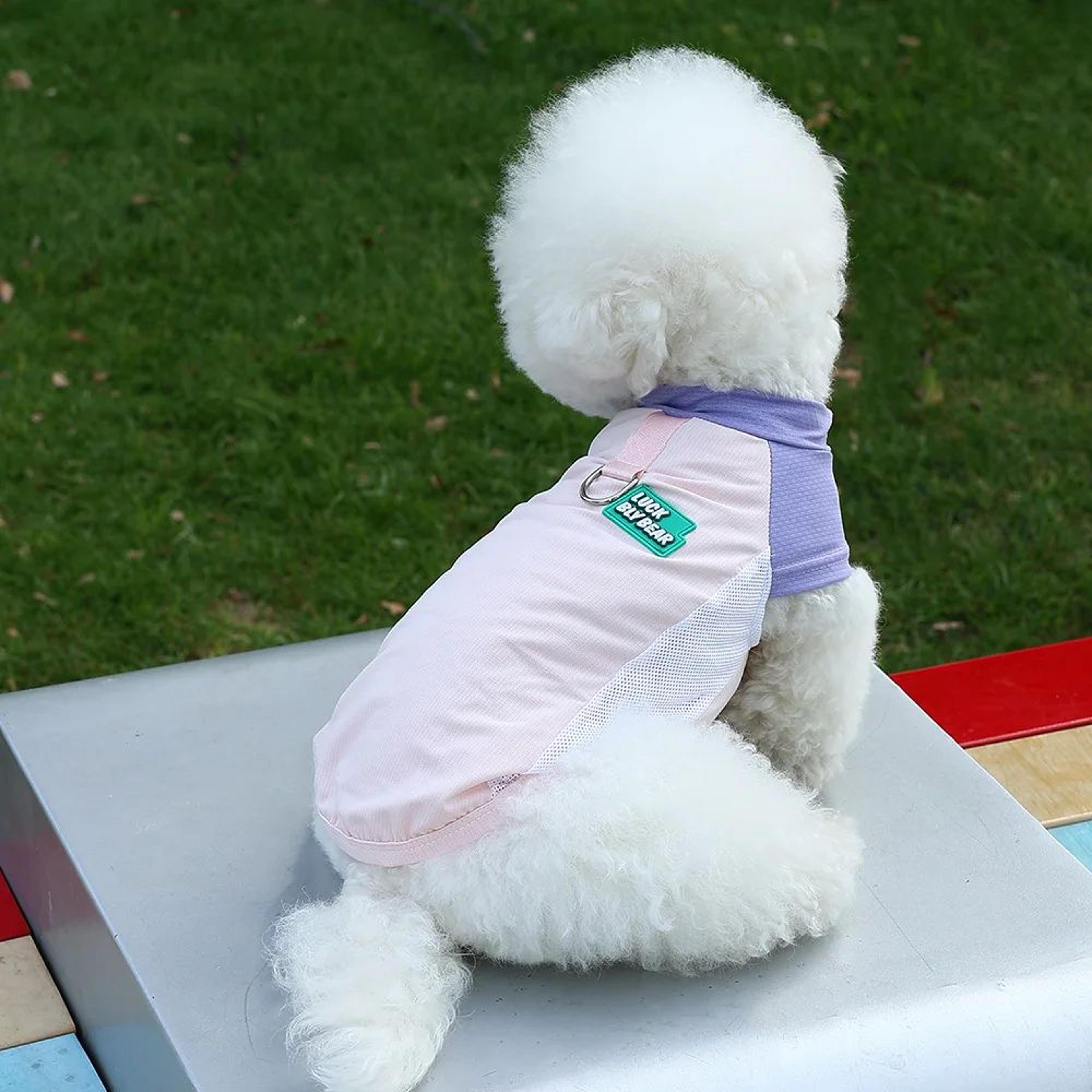 UV Protection Pet Cooling Vest  Breathable Ice Silk Summer Dog  Cat Shirt With Sun Block Protection 1