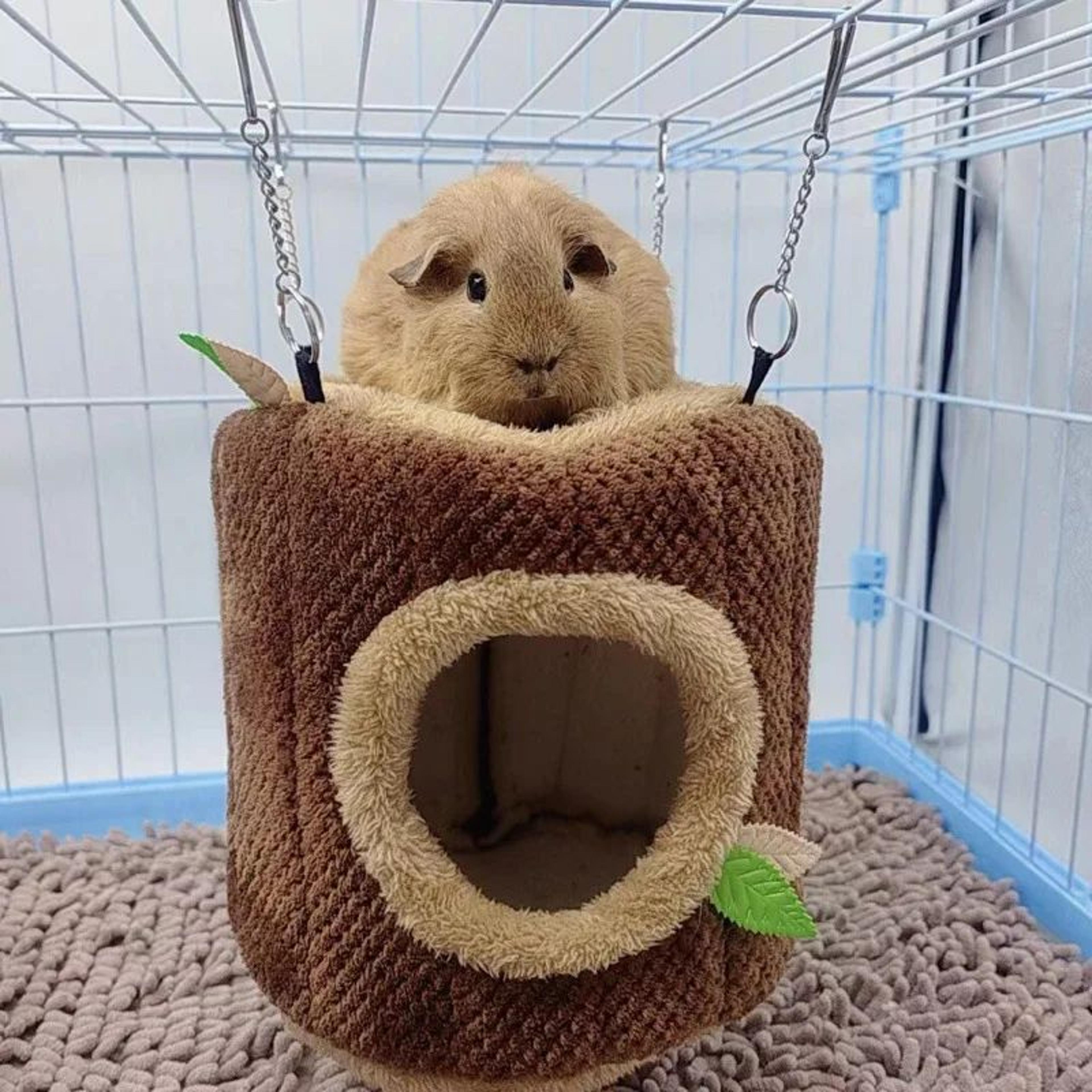 tree stump hamster hammock bed – hanging small animal hideout house for hamsters, rats, mice & rodents