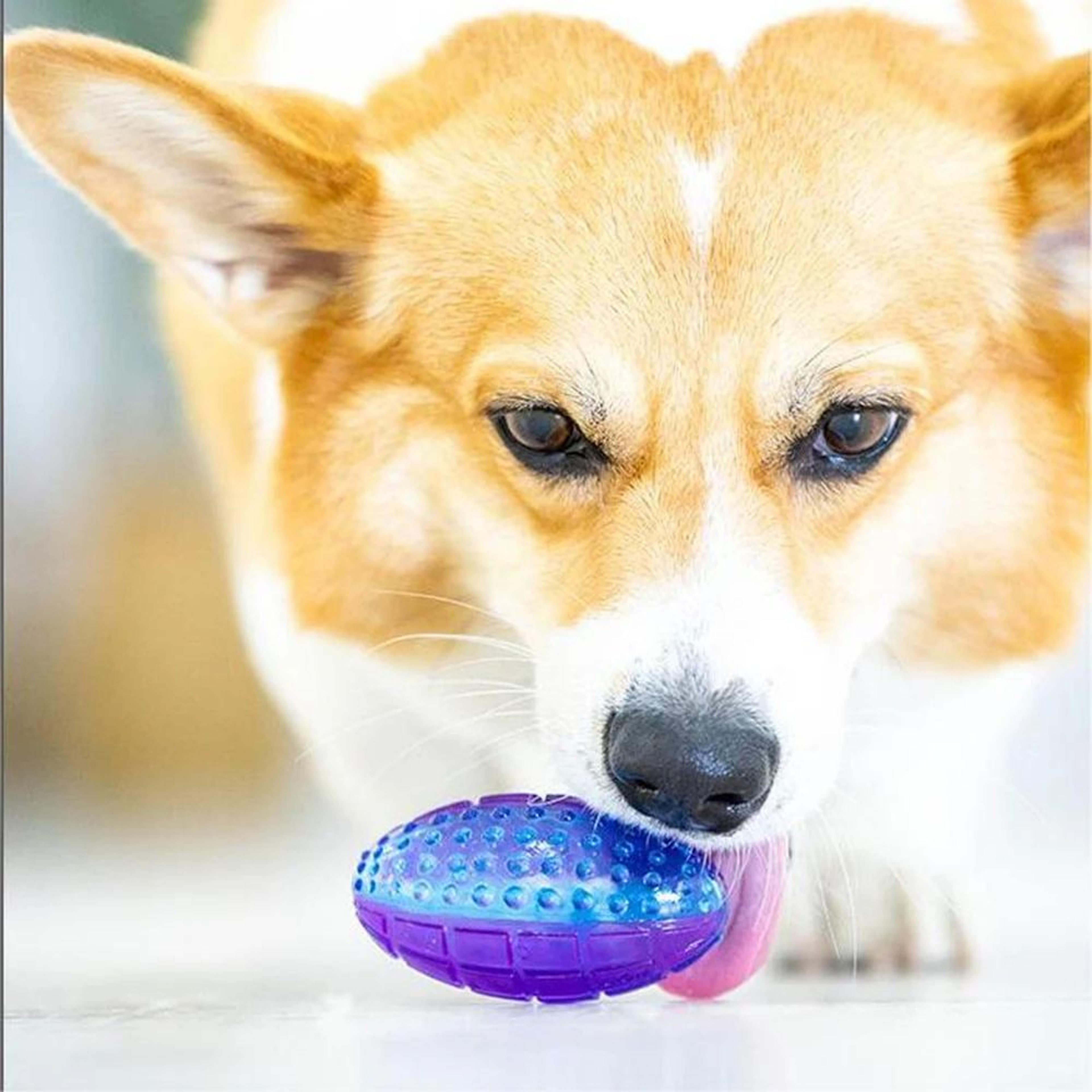 Interactive Natural Rubber Squeaky Dog Ball Toy  Durable Chew  Fetch Play Ball For Small  Medium Do 5