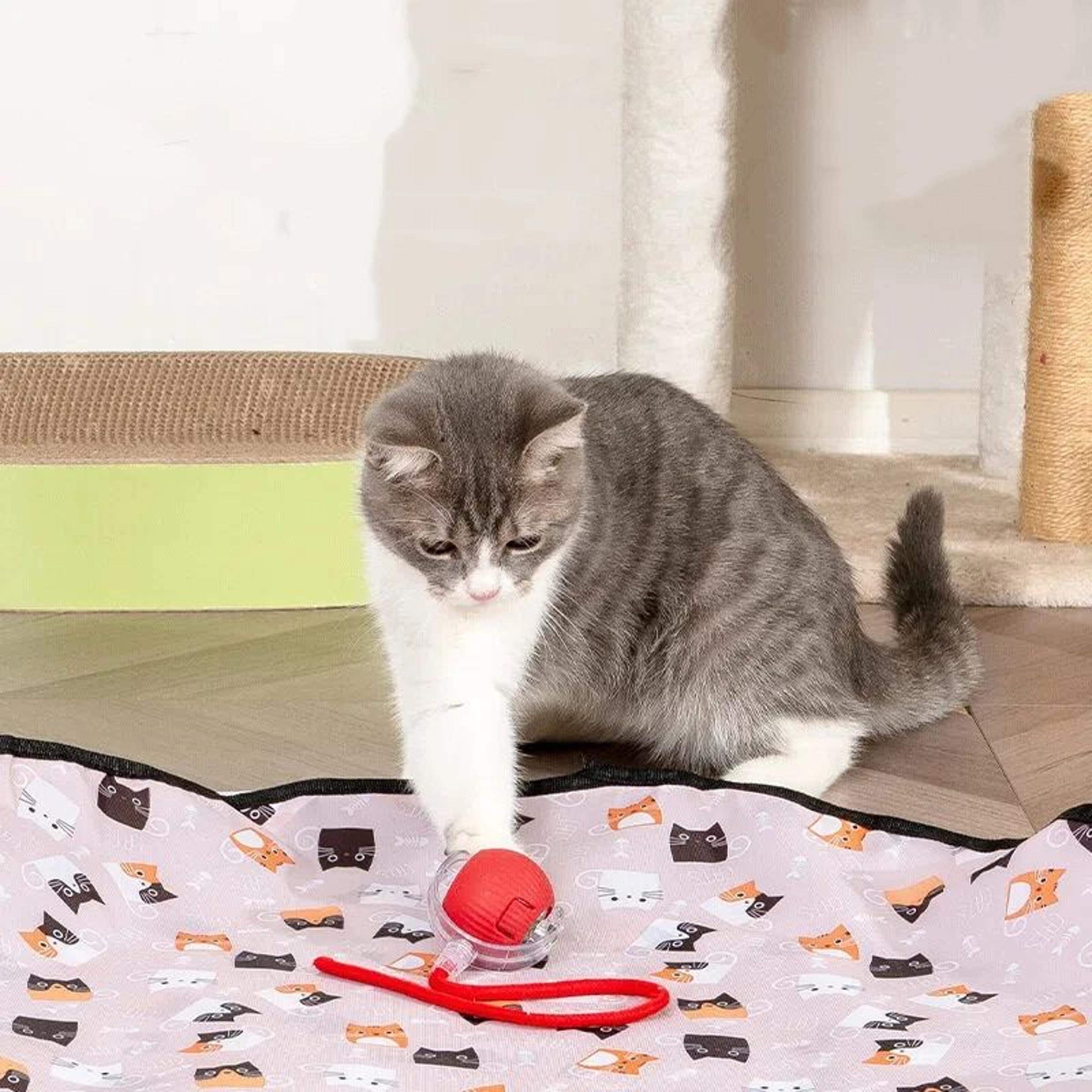 Interactive Hide  Seek Pet Toy Set  DoubleLayer Hunting Cover With Smart Rolling Ball For Cats And  4