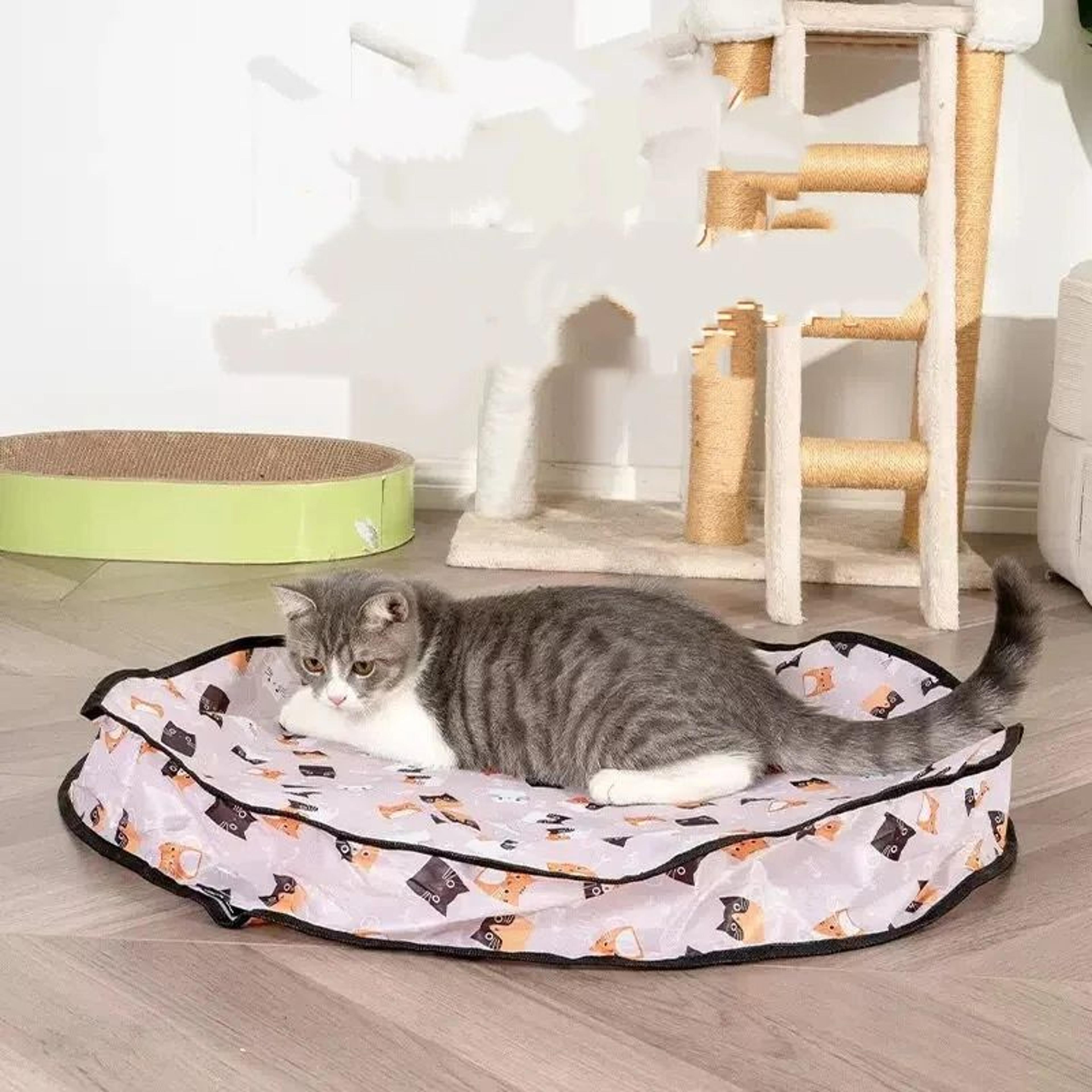 Interactive Hide  Seek Pet Toy Set  DoubleLayer Hunting Cover With Smart Rolling Ball For Cats And  5