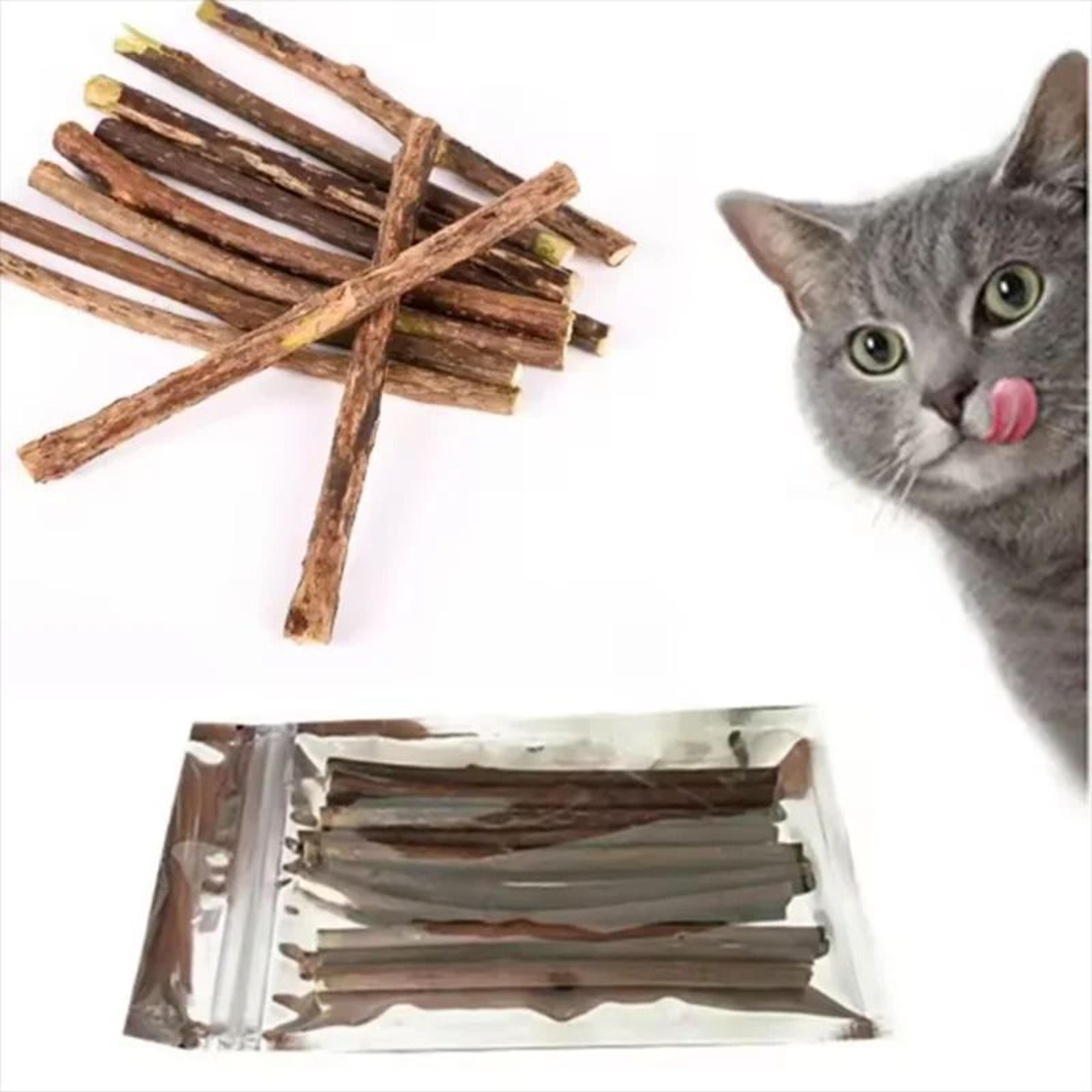 natural silvervine cat chew sticks – dental cleaning & teething toys for cats and kittens