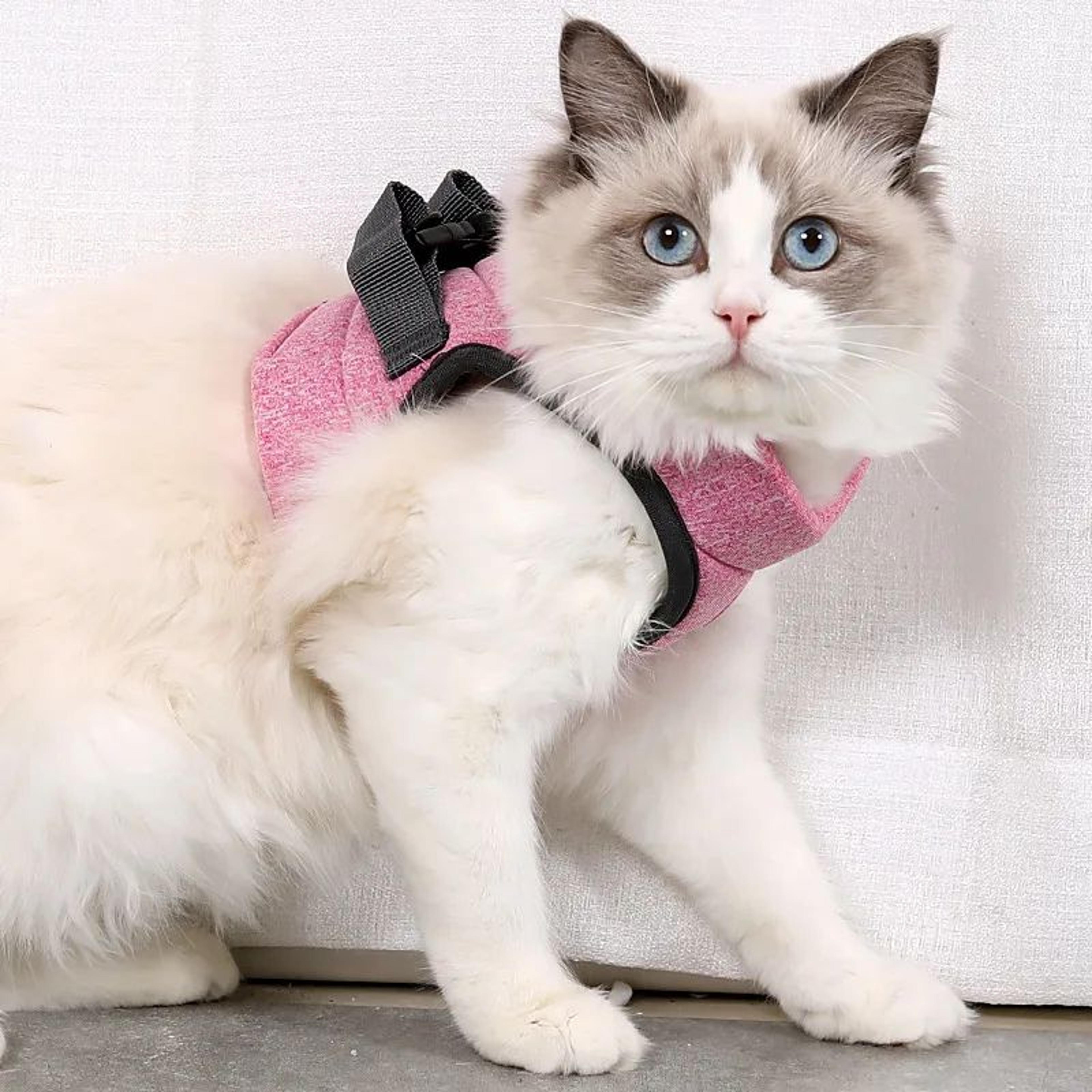 Adjustable EscapeProof Cat Harness And Leash Set  Breathable Soft Mesh Kitten Walking Vest 8