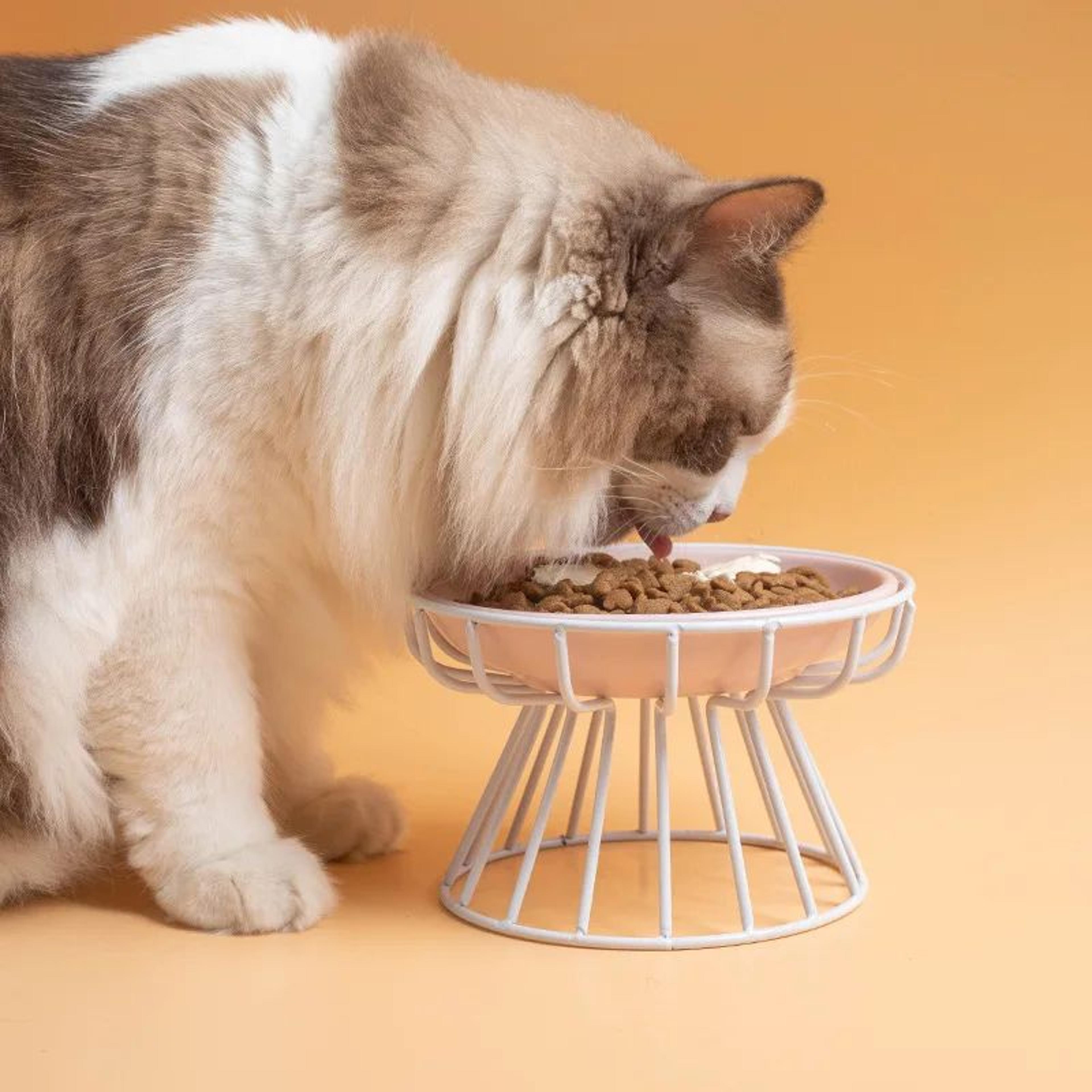 Raised Ceramic Cat Bowl With Stand  Elevated AntiSpill Pet Food  Water Bowl For Cats And Small Pets 2