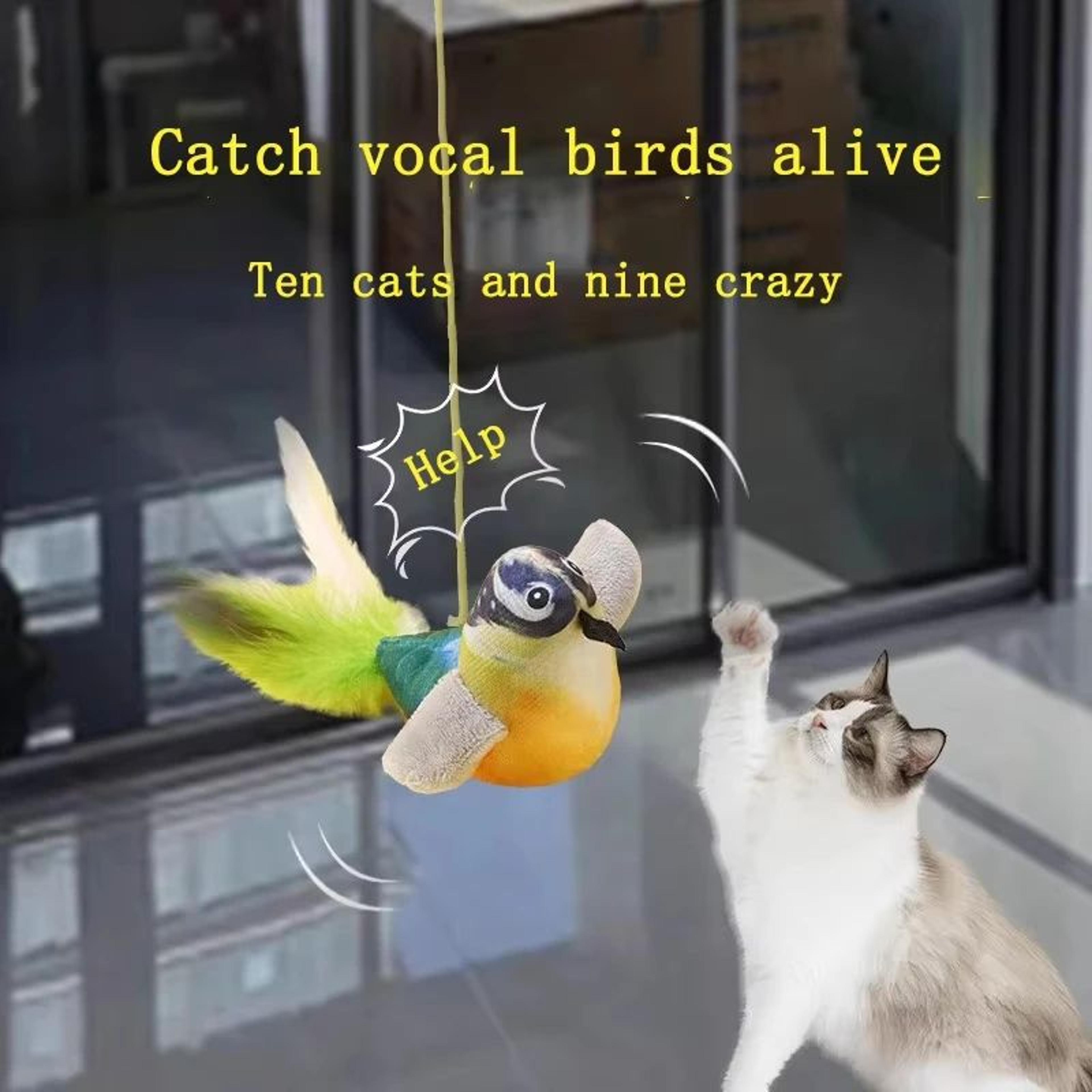 Interactive Chirping Bird Cat Toy With Catnip  Realistic Sound Plush Cat Toy For Indoor Cats  Kitte 1
