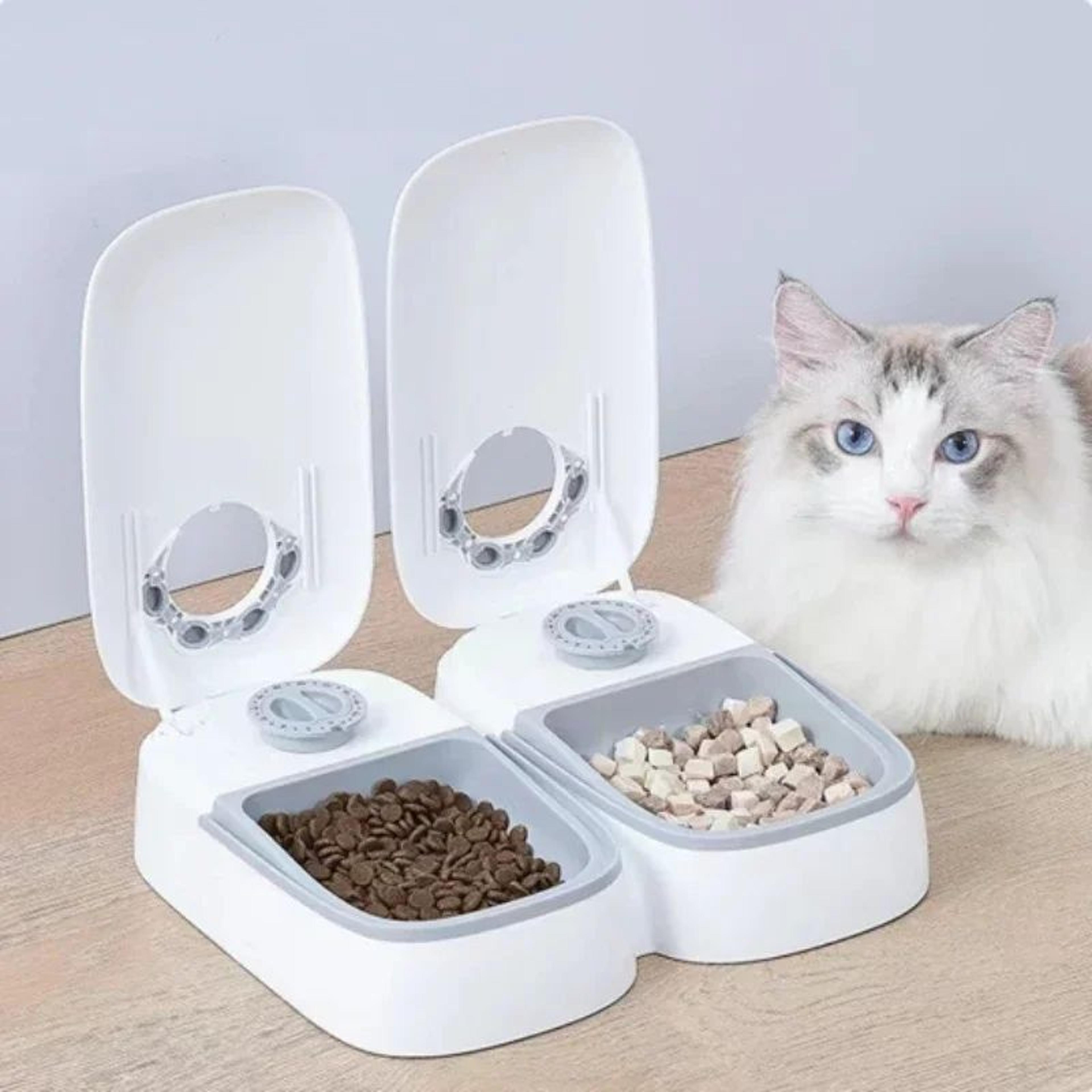 Automatic Timed Pet Feeder  Portable Food  Water Dispenser With Cooling Pack For Cats  Dogs 1