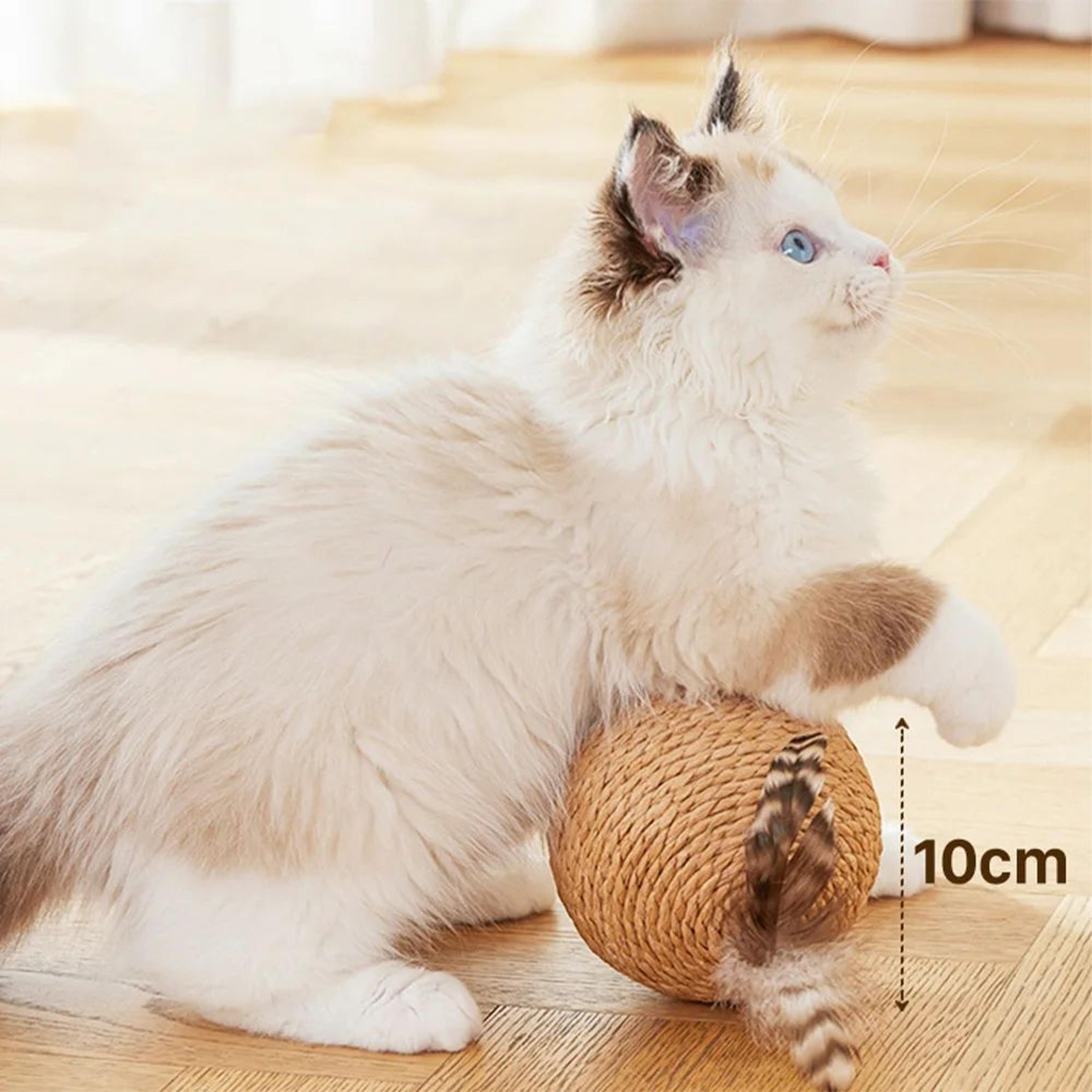 Interactive Sisal Cat Scratching Ball Toy  WearResistant Paw Grinding  Furniture Protection Toy 4