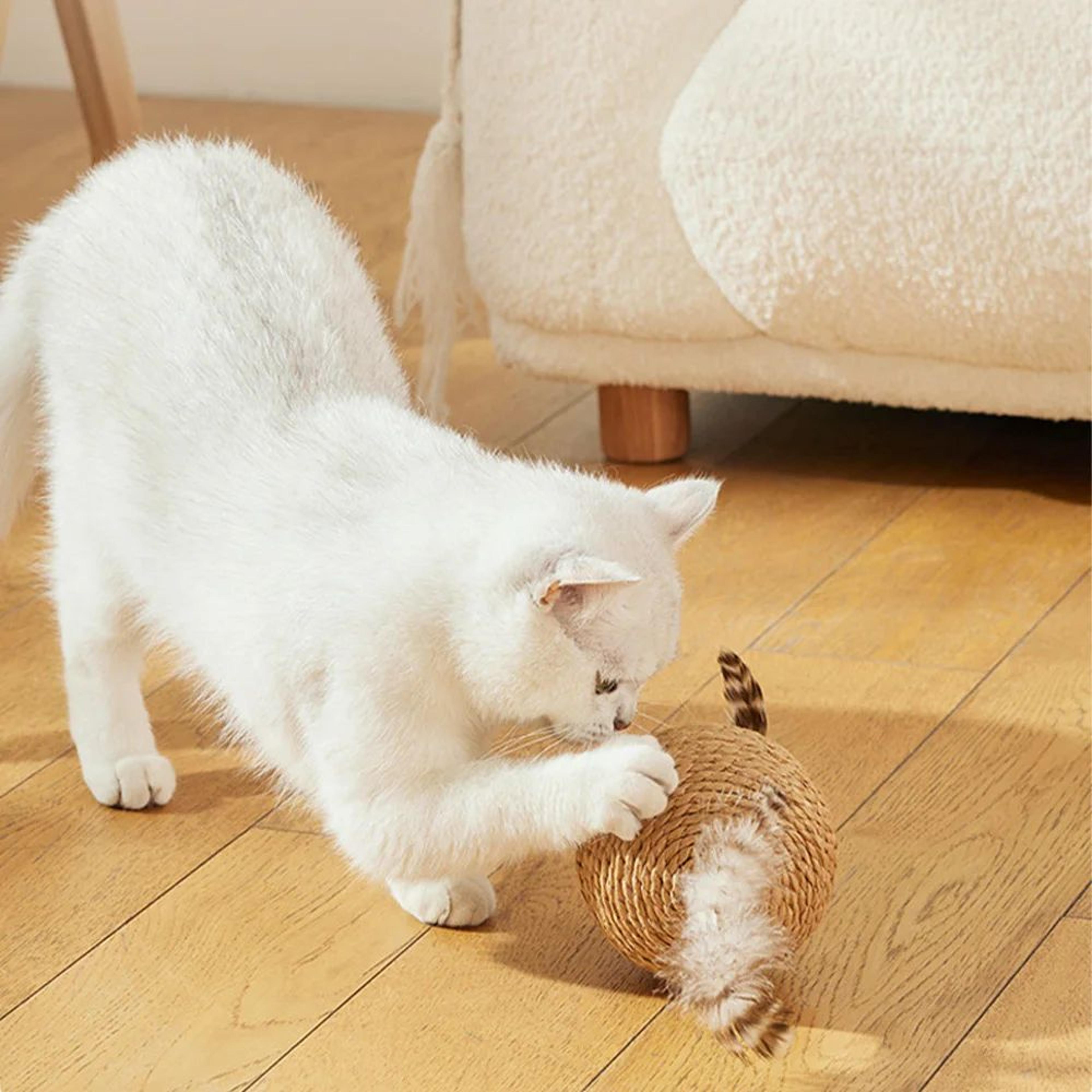 Interactive Sisal Cat Scratching Ball Toy  WearResistant Paw Grinding  Furniture Protection Toy 5