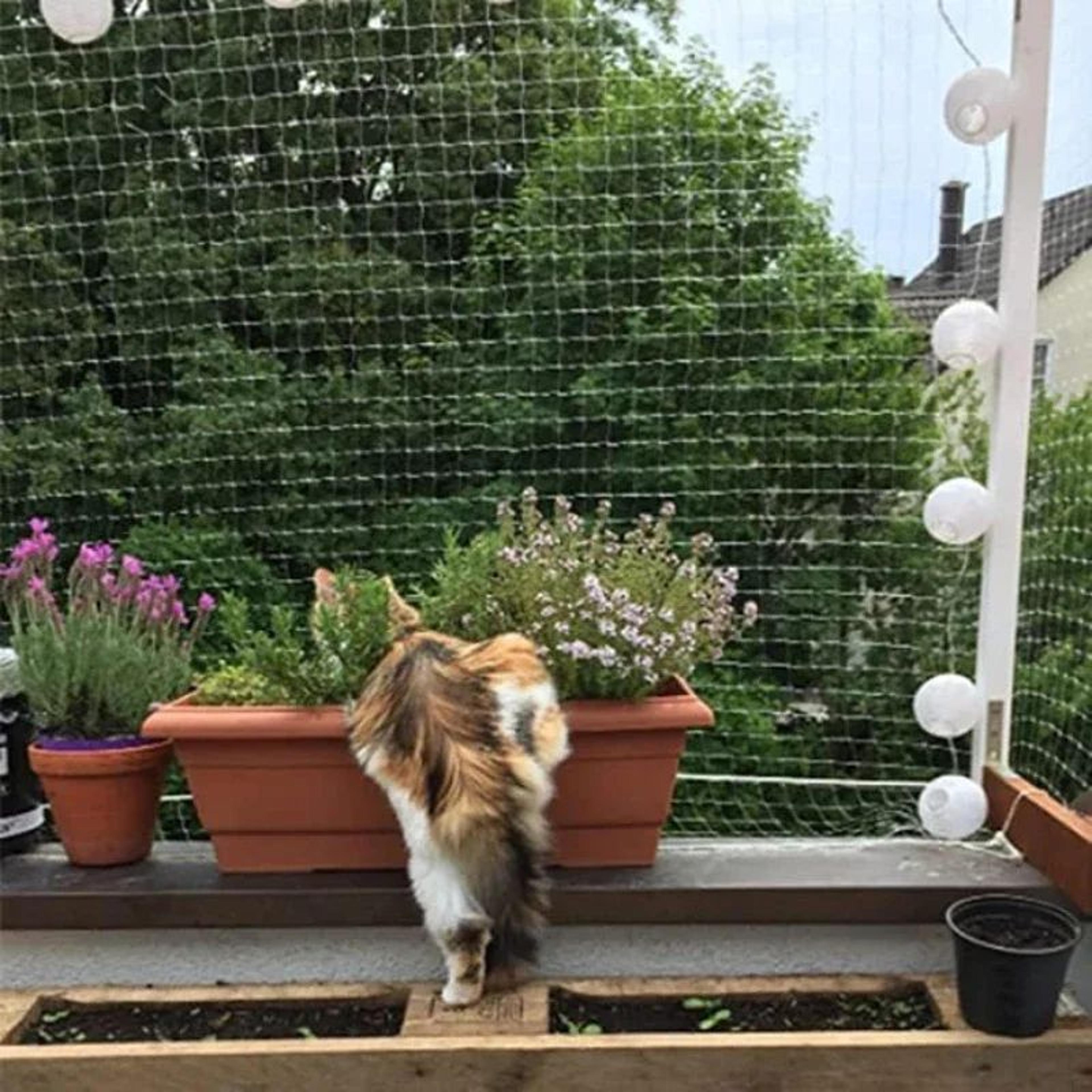 Transparent Pet Safety Net  Balcony Window  Garden Protective Mesh For Cats  Dogs 1