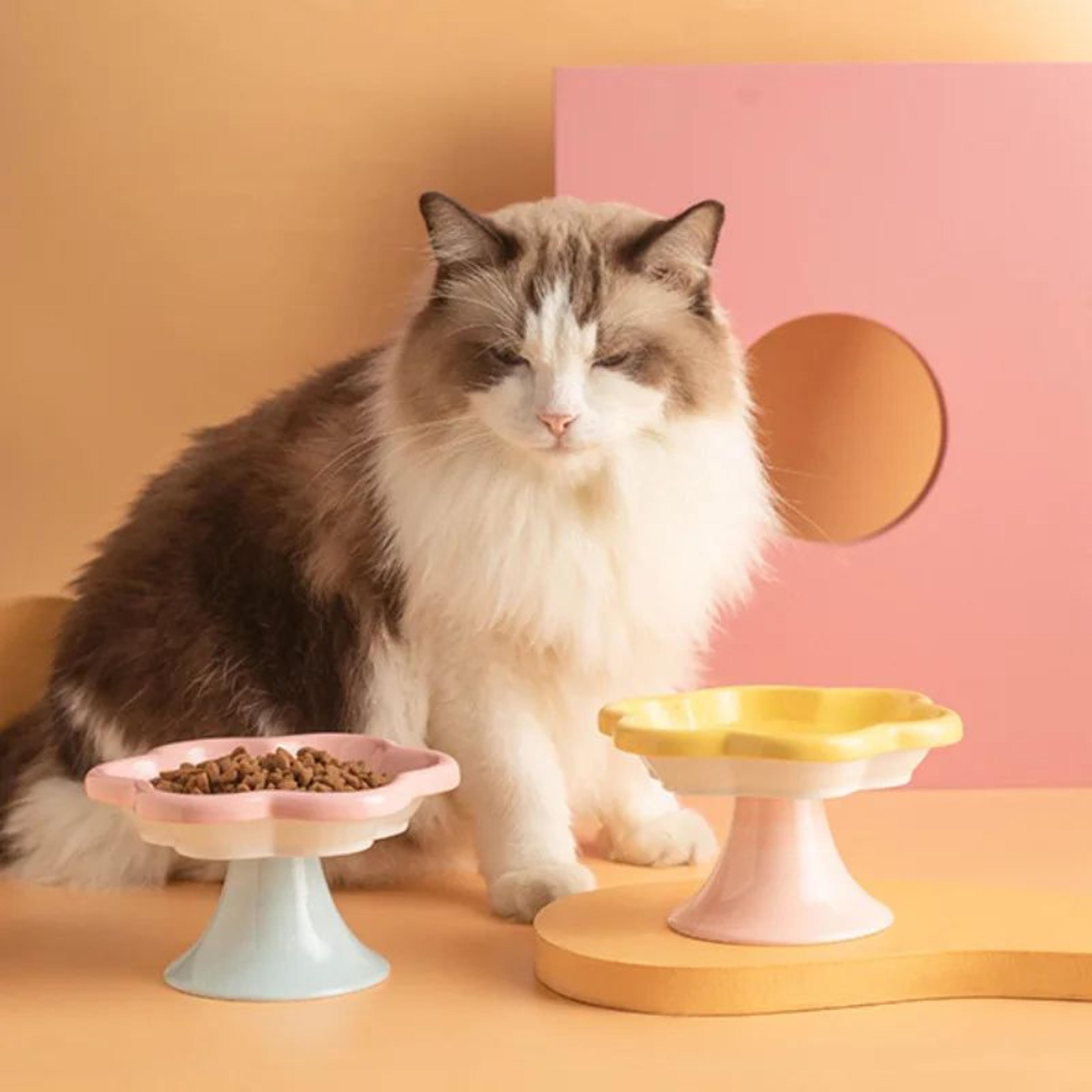 Ceramic Elevated Cat Bowl With Stand  Raised Flower Pet Food  Water Dish For Neck Protection 2
