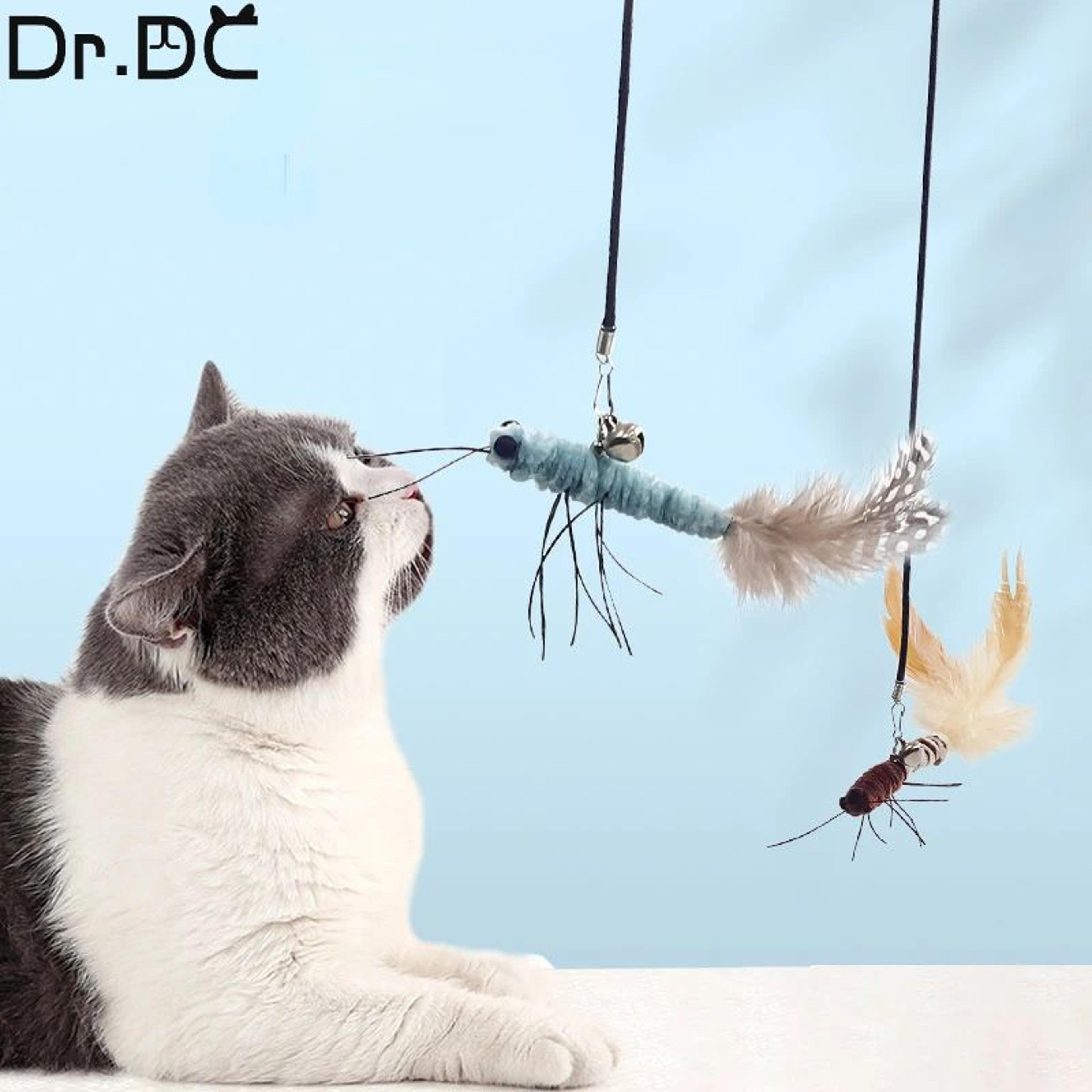 Dragonfly Feather Cat Teaser Wand  Interactive Cat Stick Toy With Replaceable Head  Flexible Wire 2
