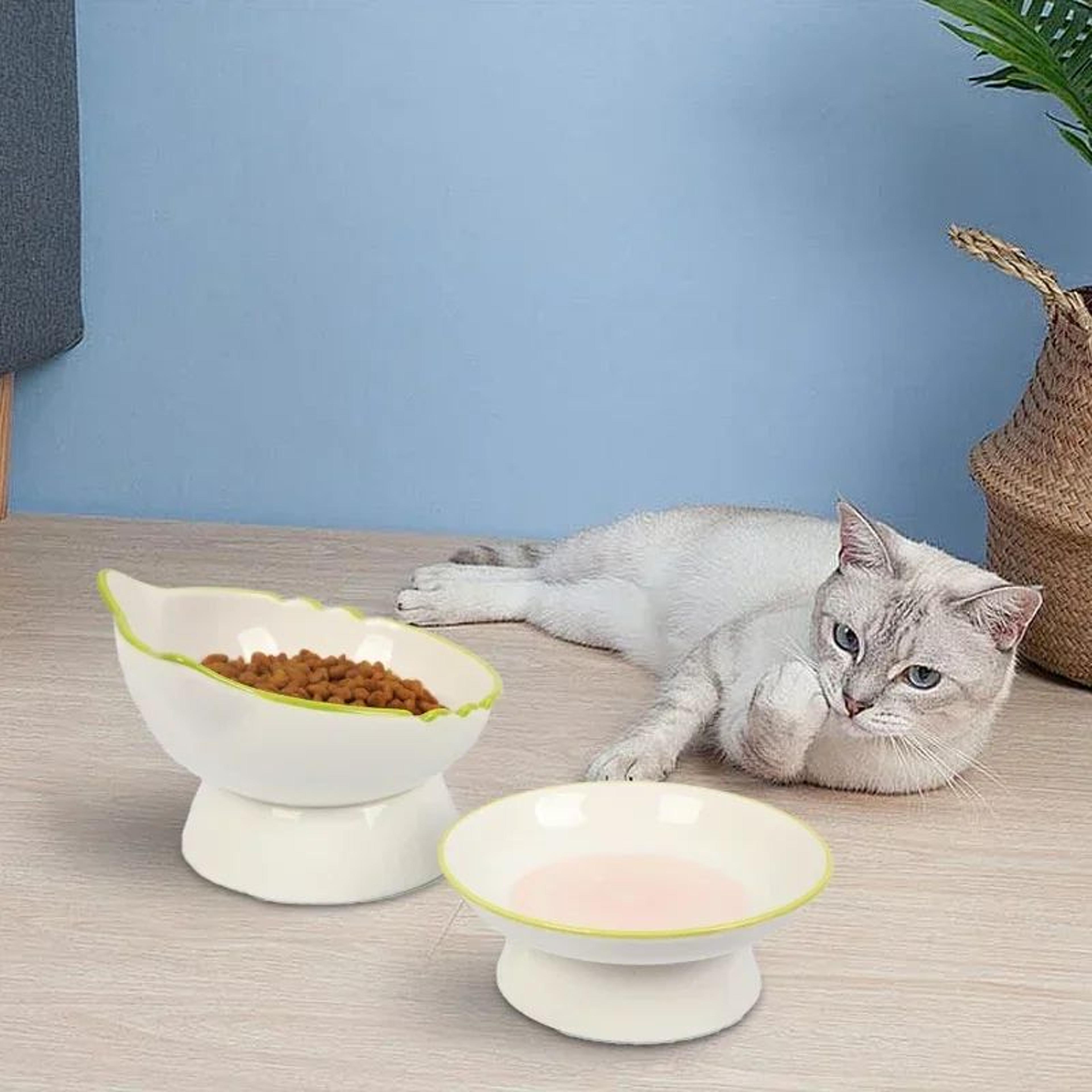 Elevated Cat Food  Water Bowl  Ergonomic Raised Pet Feeding Dish For Cats  Small Dogs 3