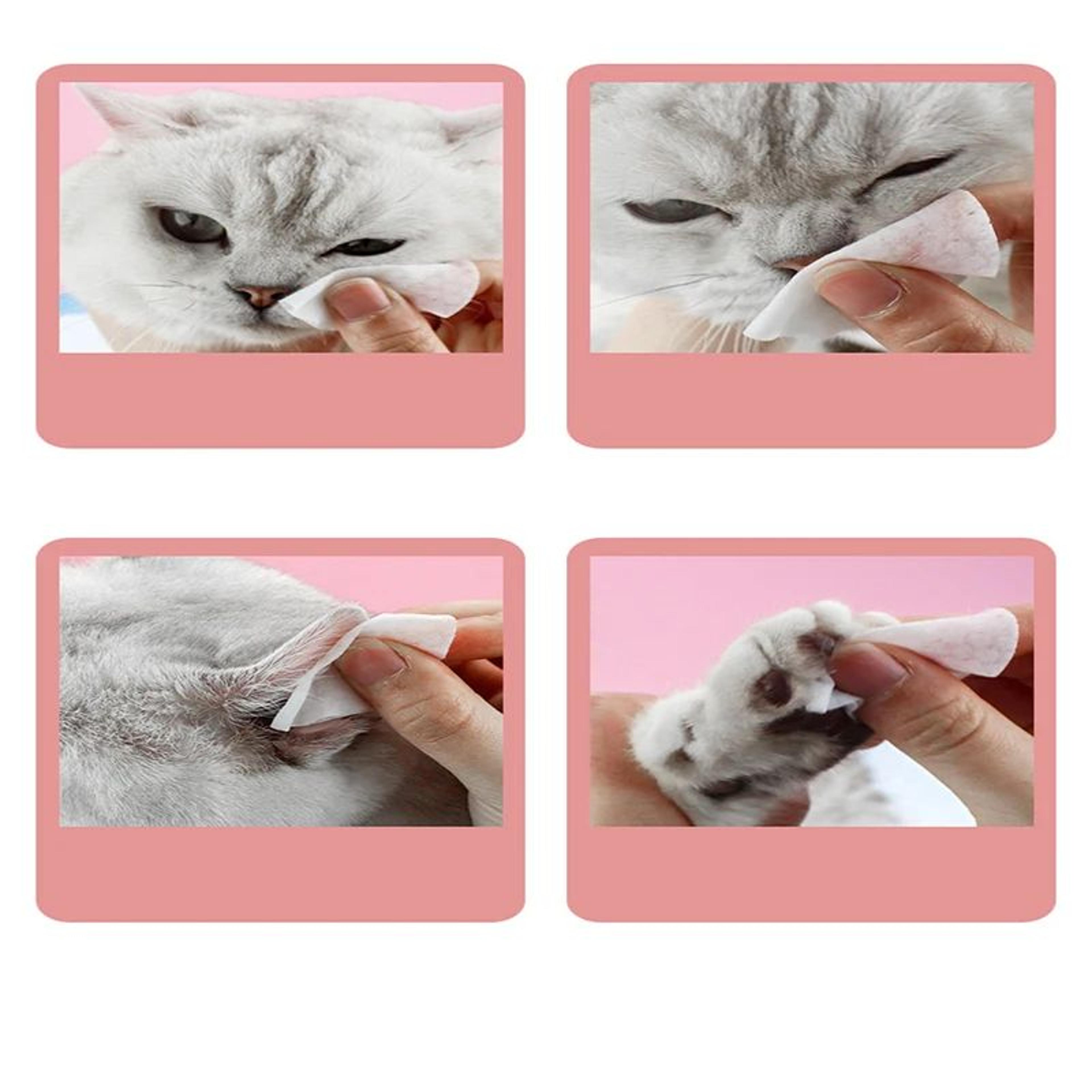 Pet Eye Cleaning Wipes  Tear Stain Remover  Gentle Eye Care Wet Wipes For Dogs  Cats 3