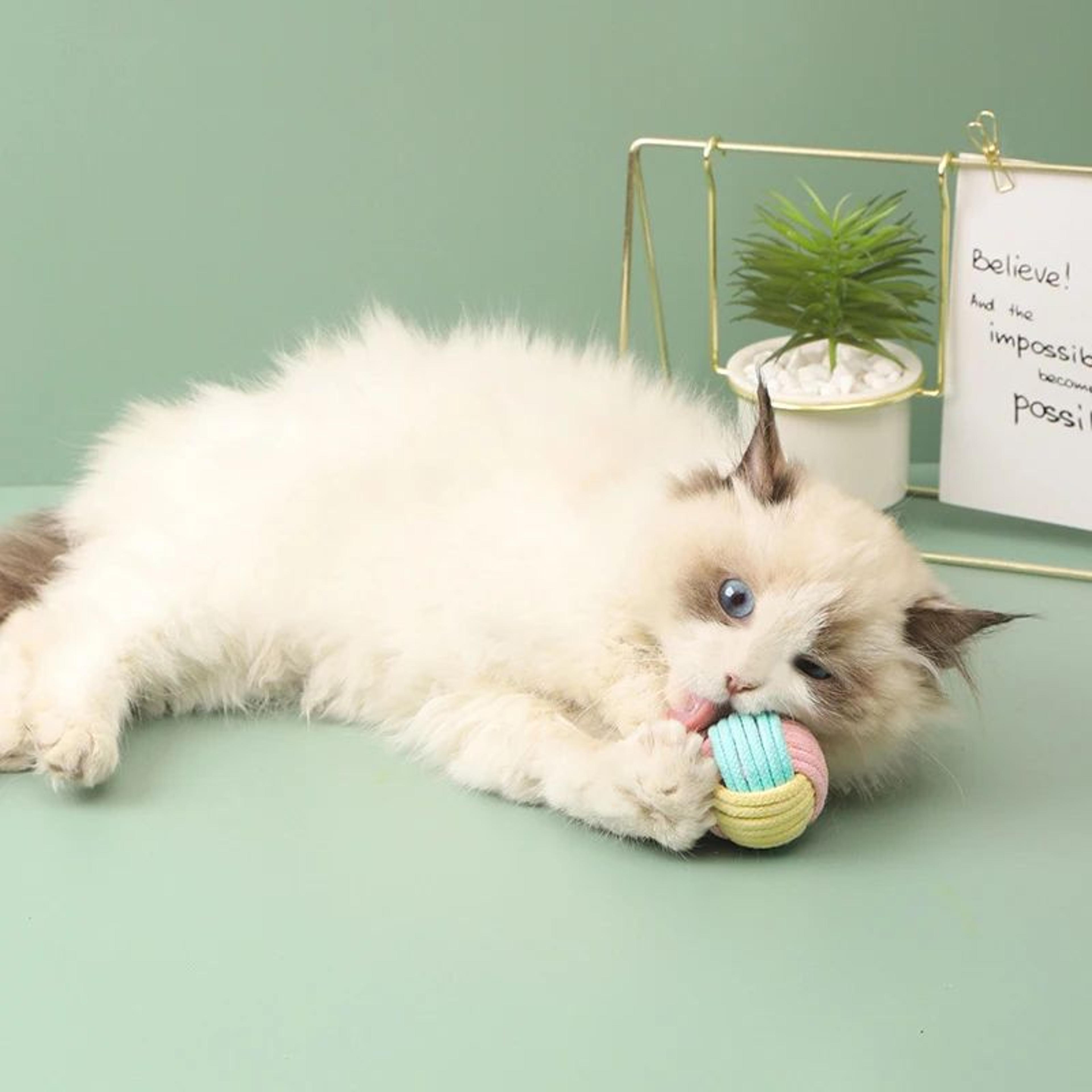 Interactive Catnip Cotton Rope Ball Toy  Handcrafted Plush Dental Chew  Training Toy For Cats 5